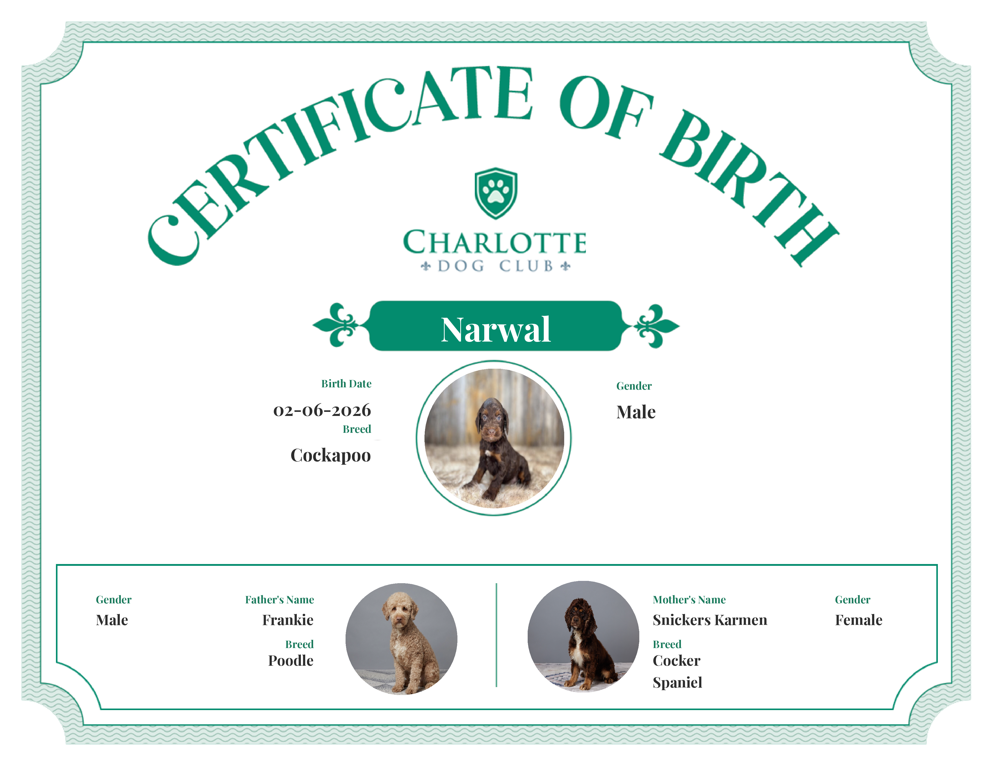 Narwal's Birth Certificate
