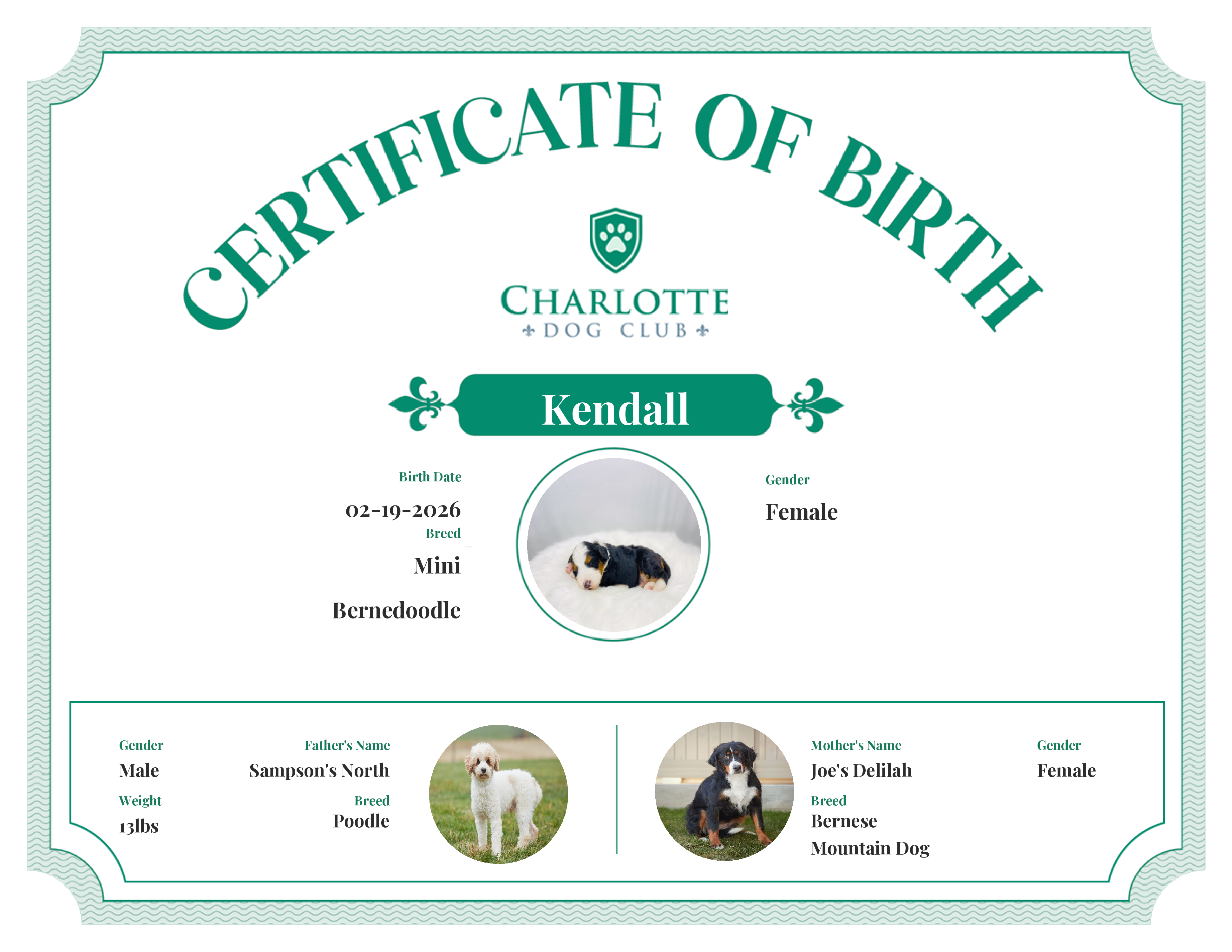 Kendall's Birth Certificate
