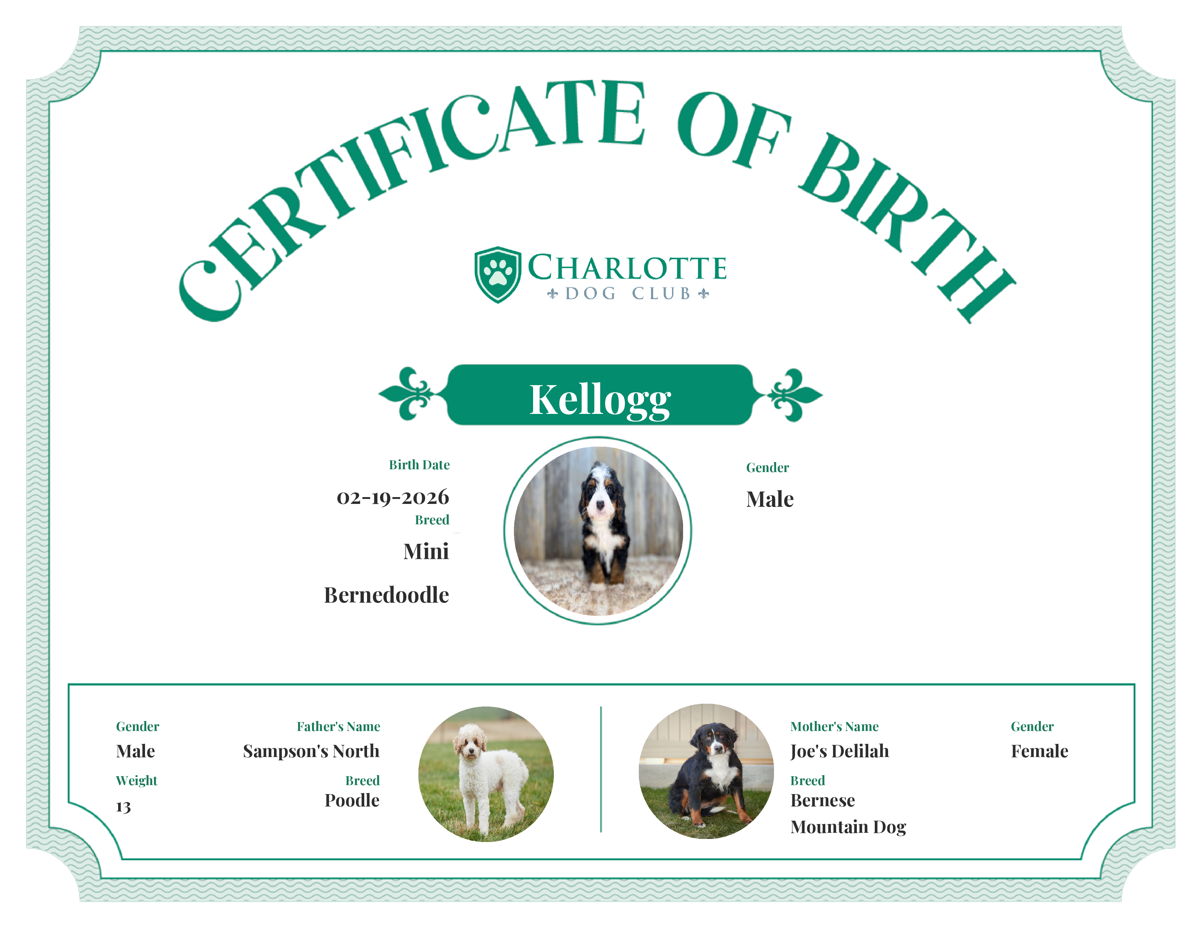 Kellogg's Birth Certificate