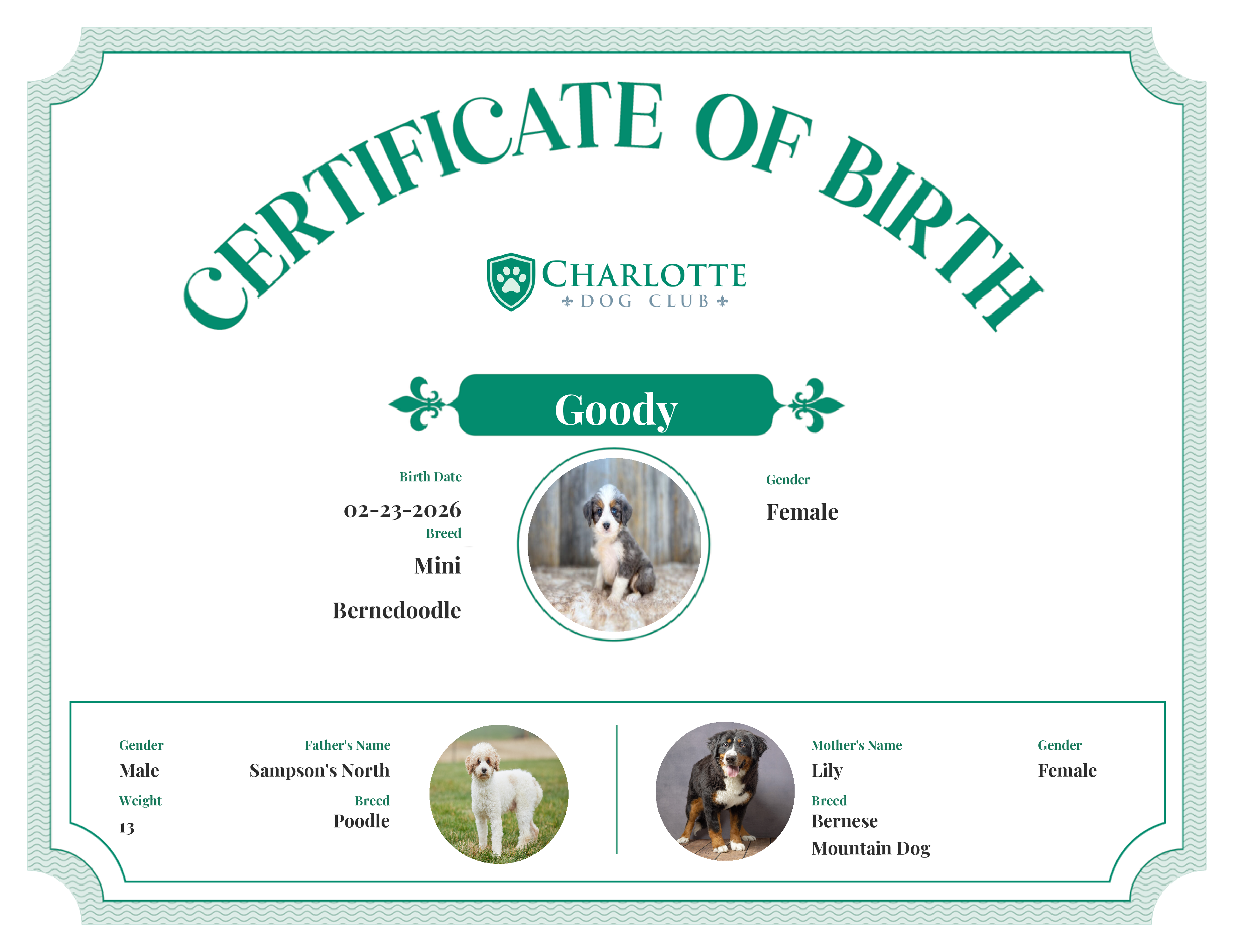 Goody's Birth Certificate