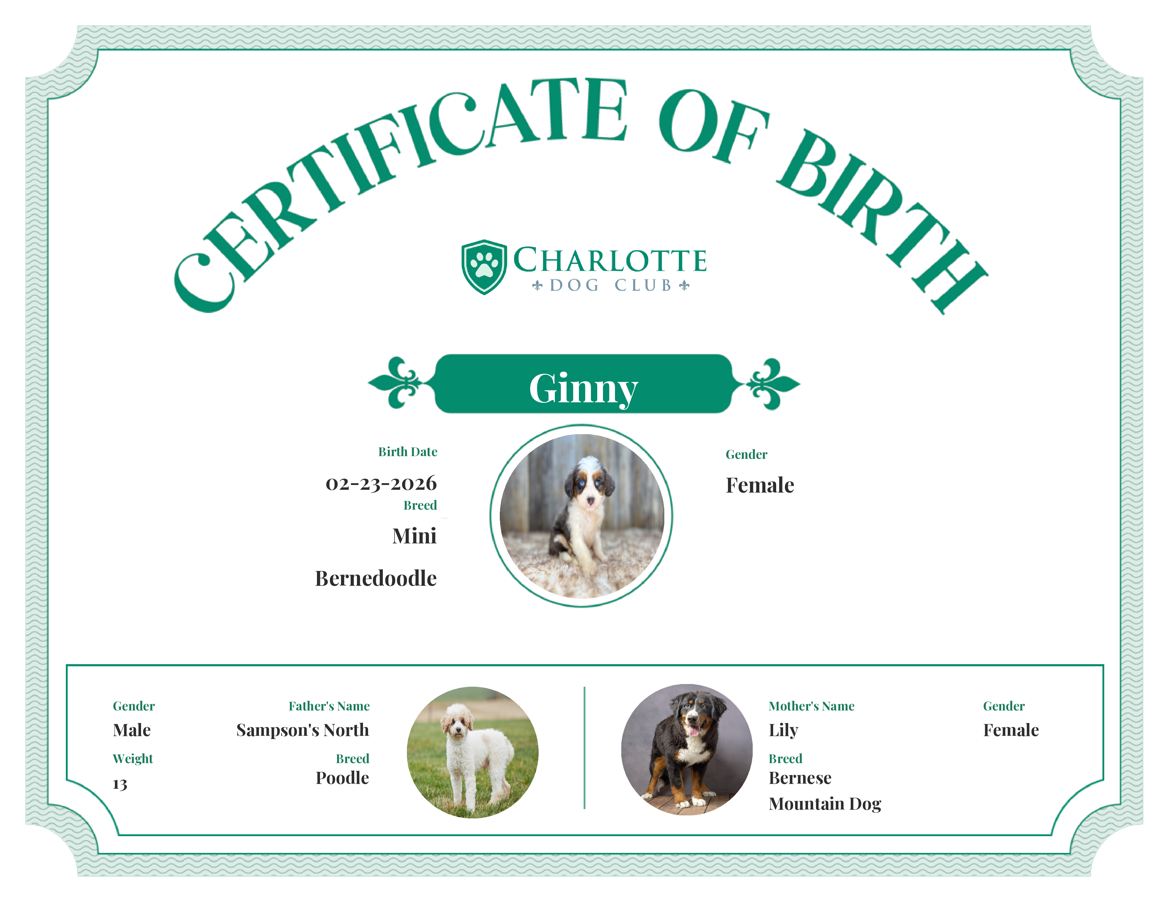 Ginny's Birth Certificate