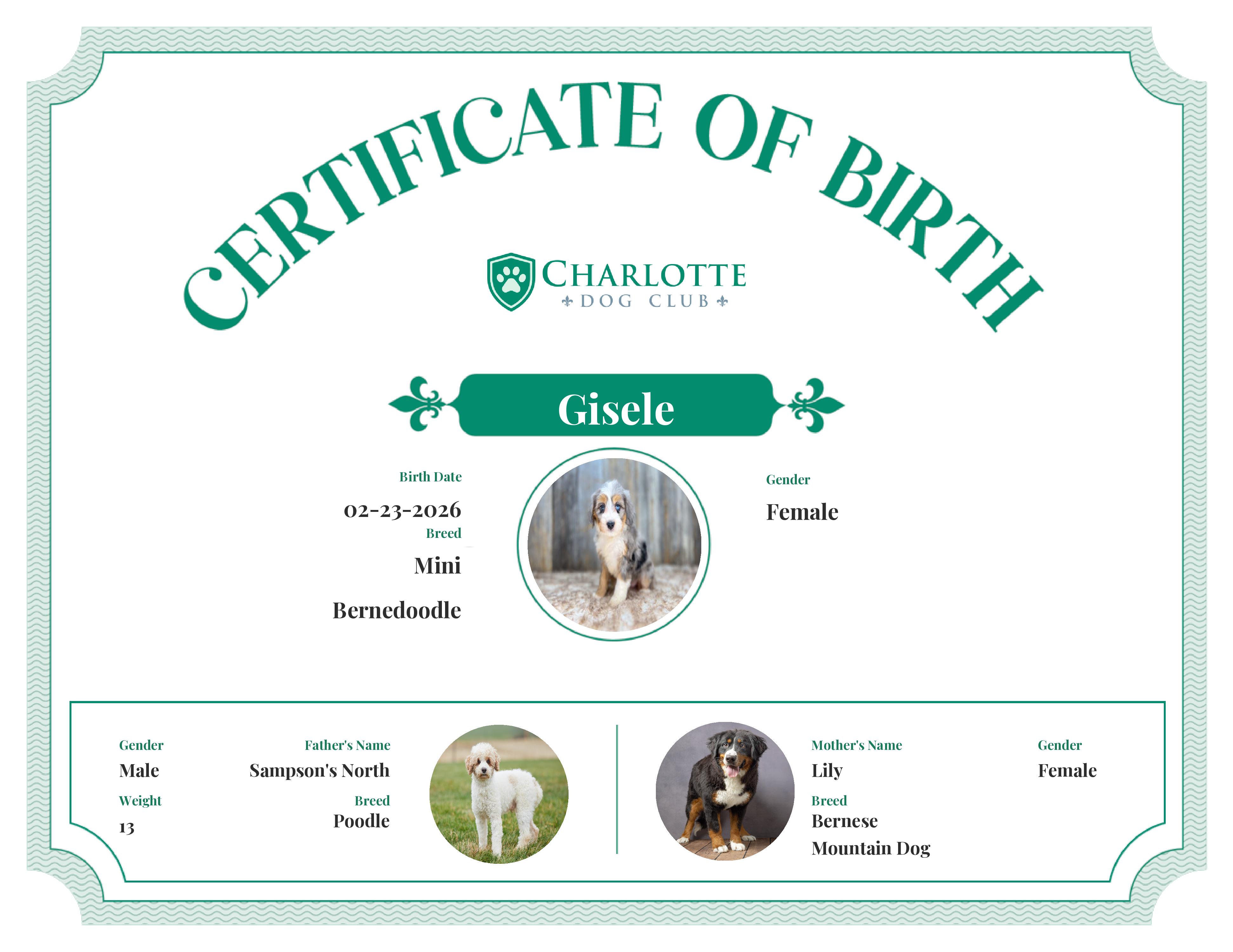Gisele's Birth Certificate