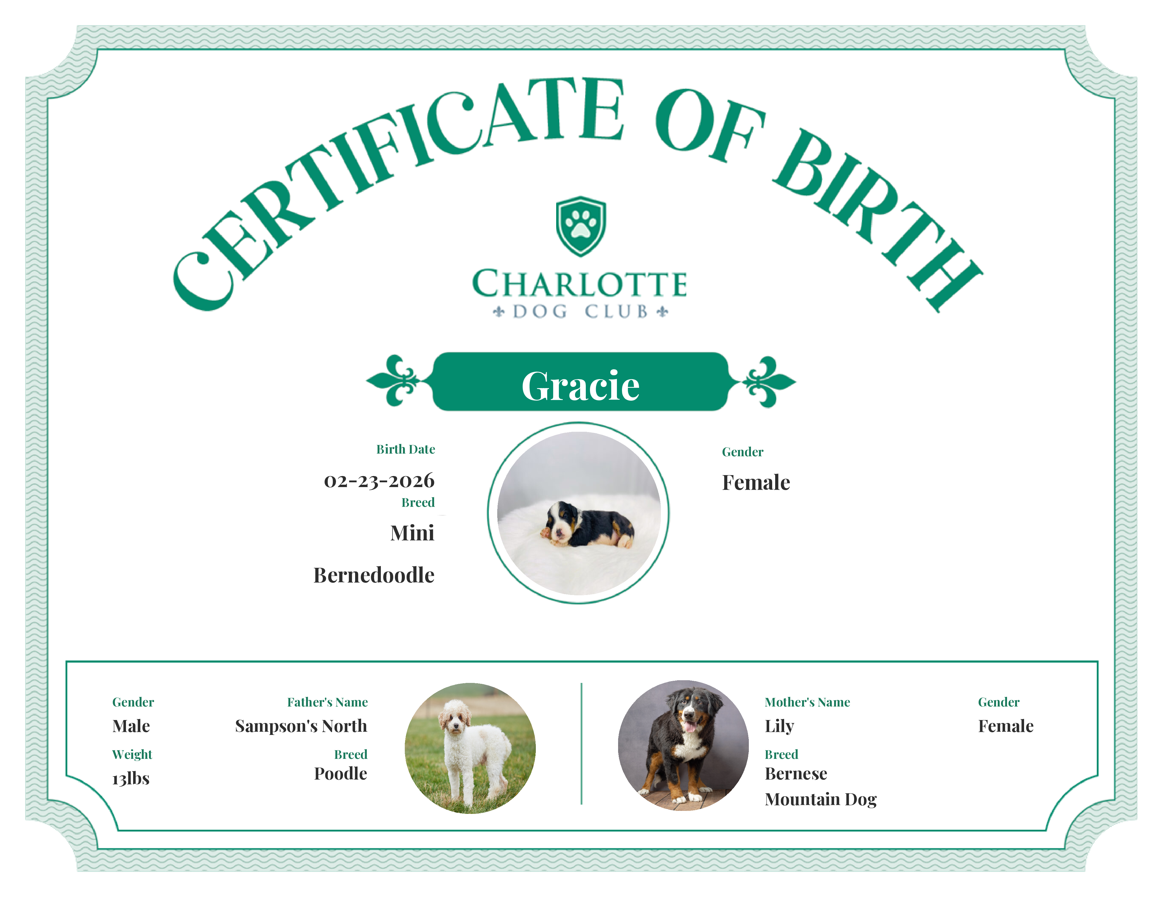 Gracie's Birth Certificate