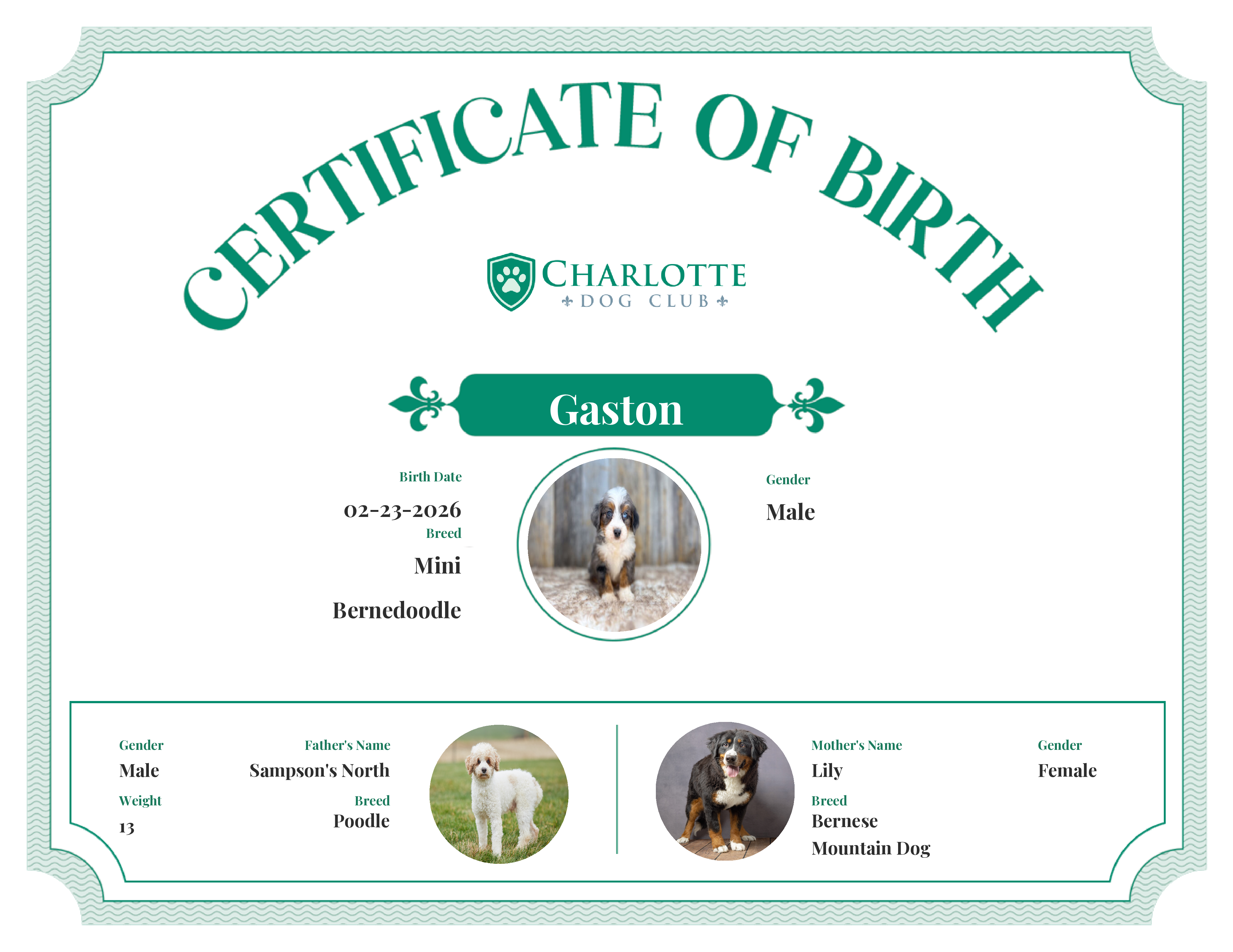 Gaston's Birth Certificate
