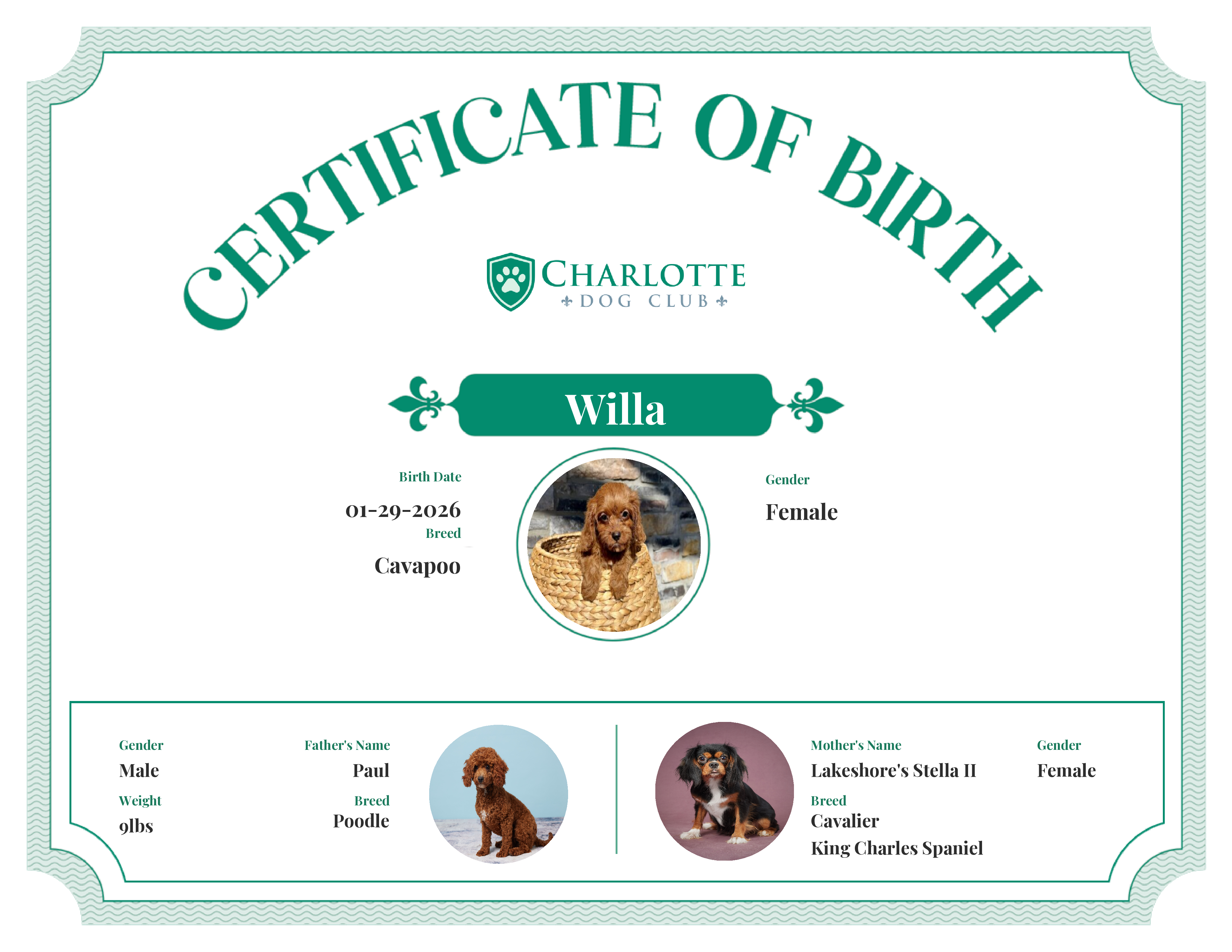 Willa's Birth Certificate