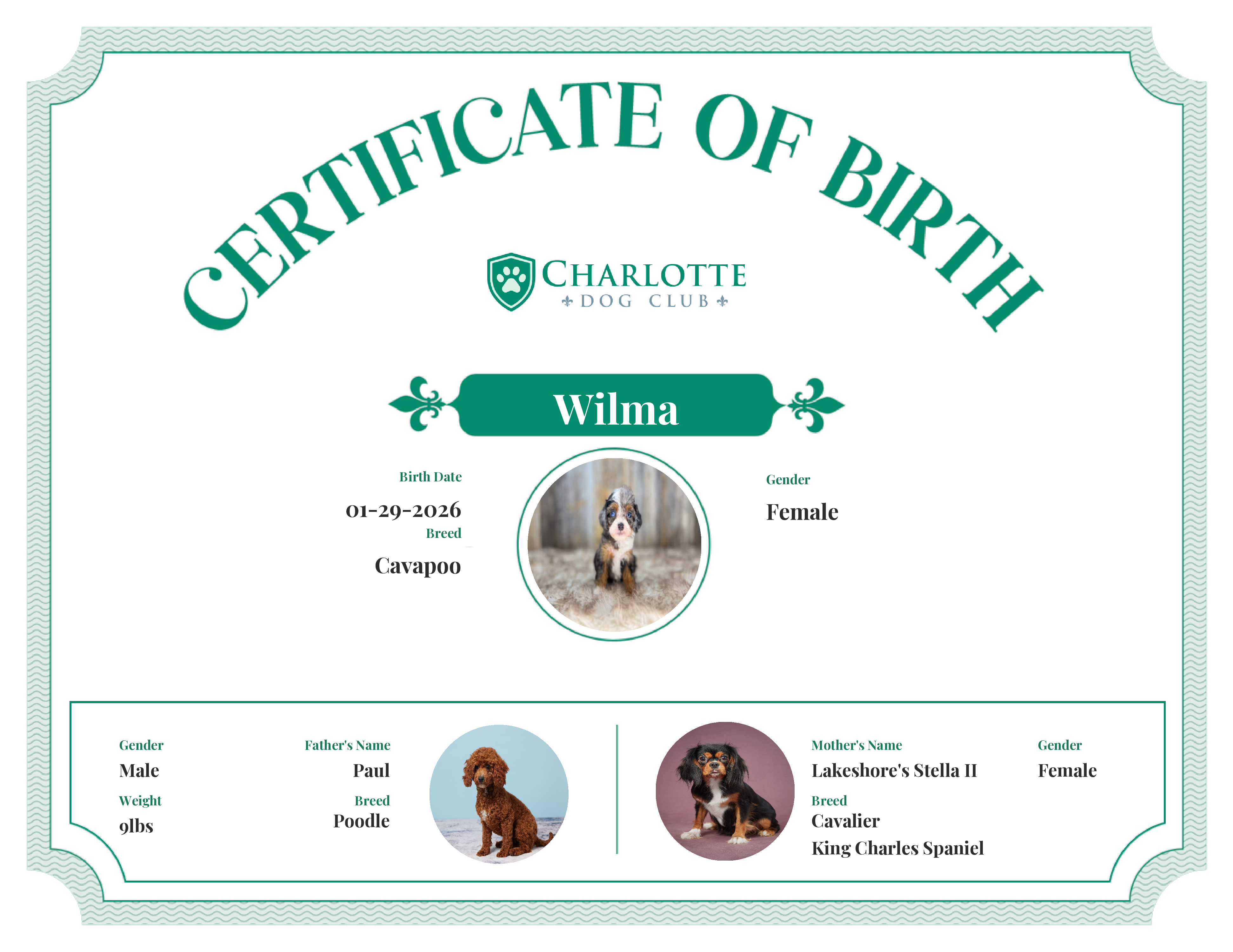 Wilma's Birth Certificate