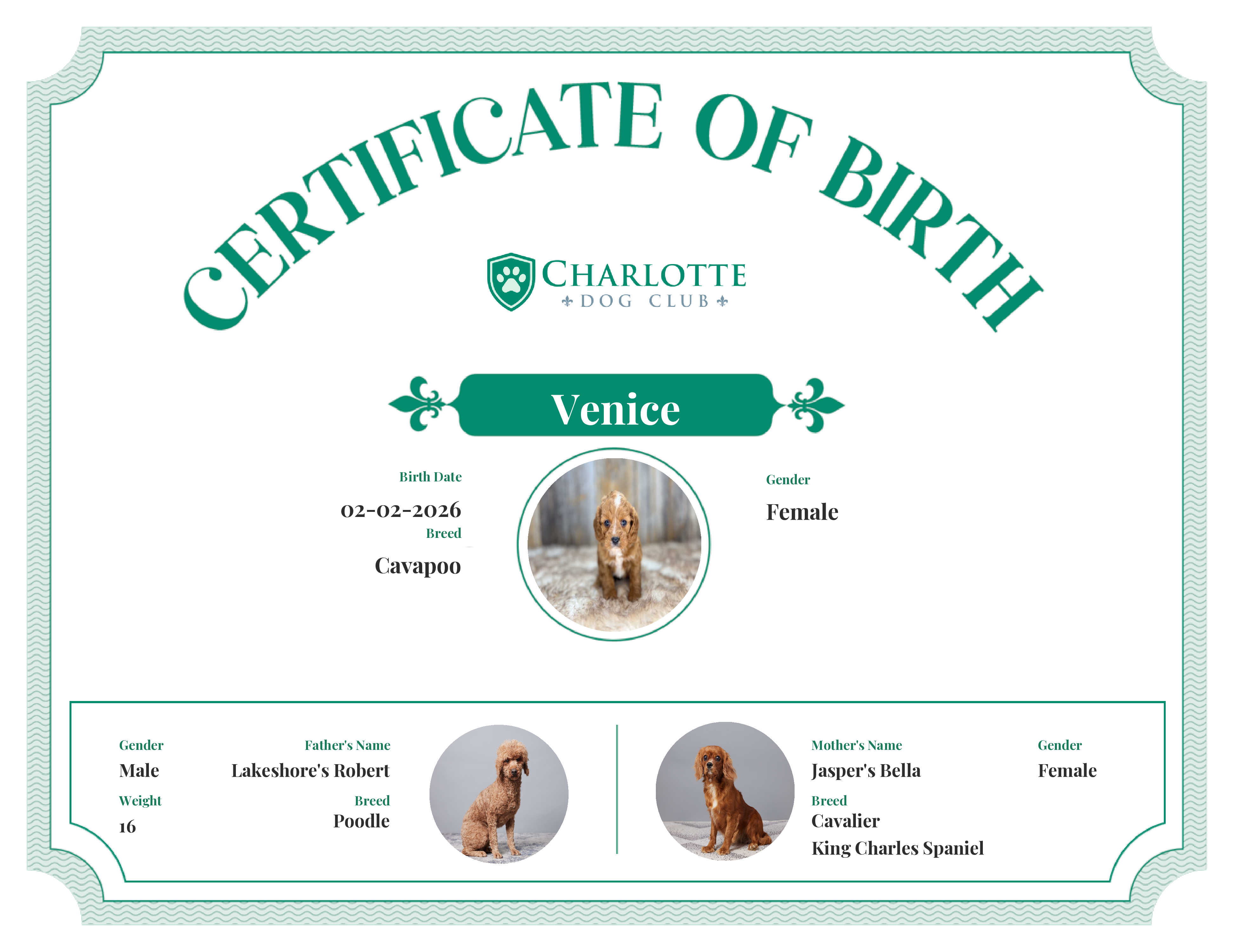 Venice's Birth Certificate