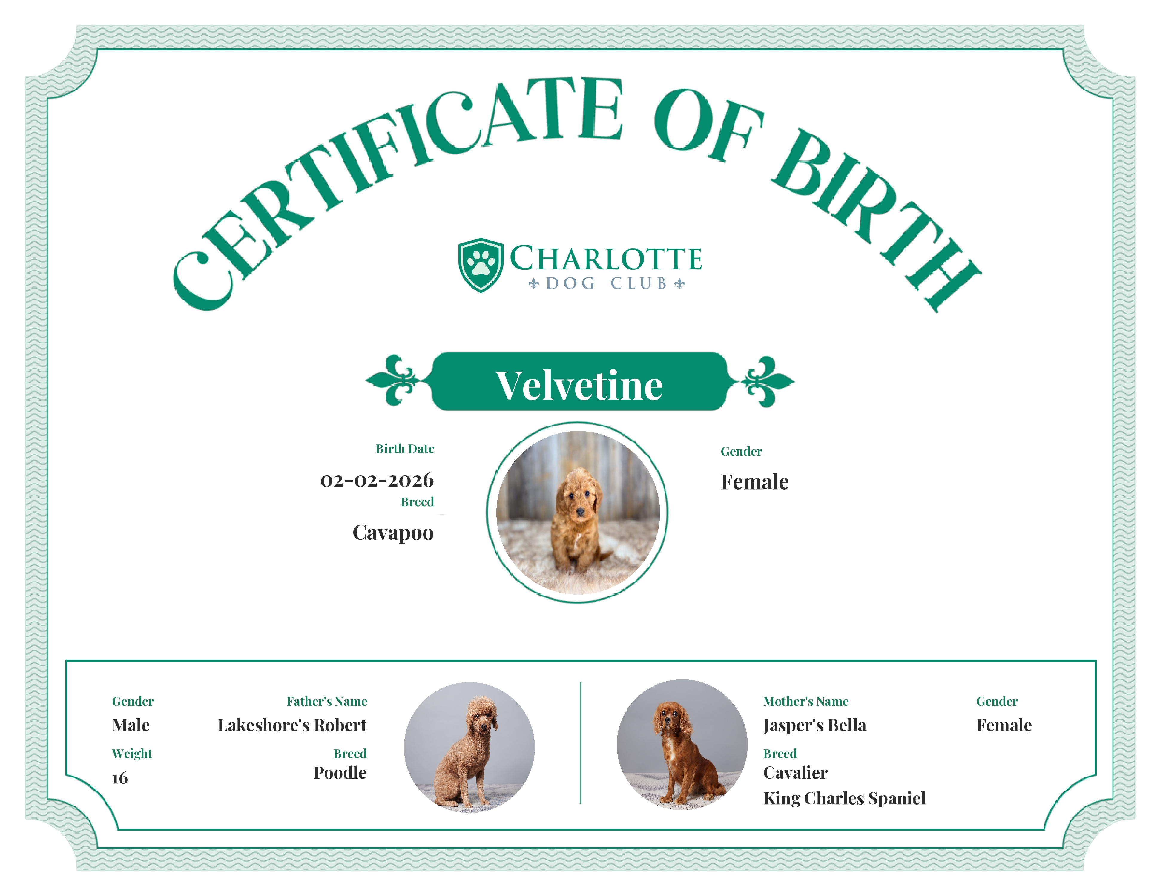 Velvetine's Birth Certificate