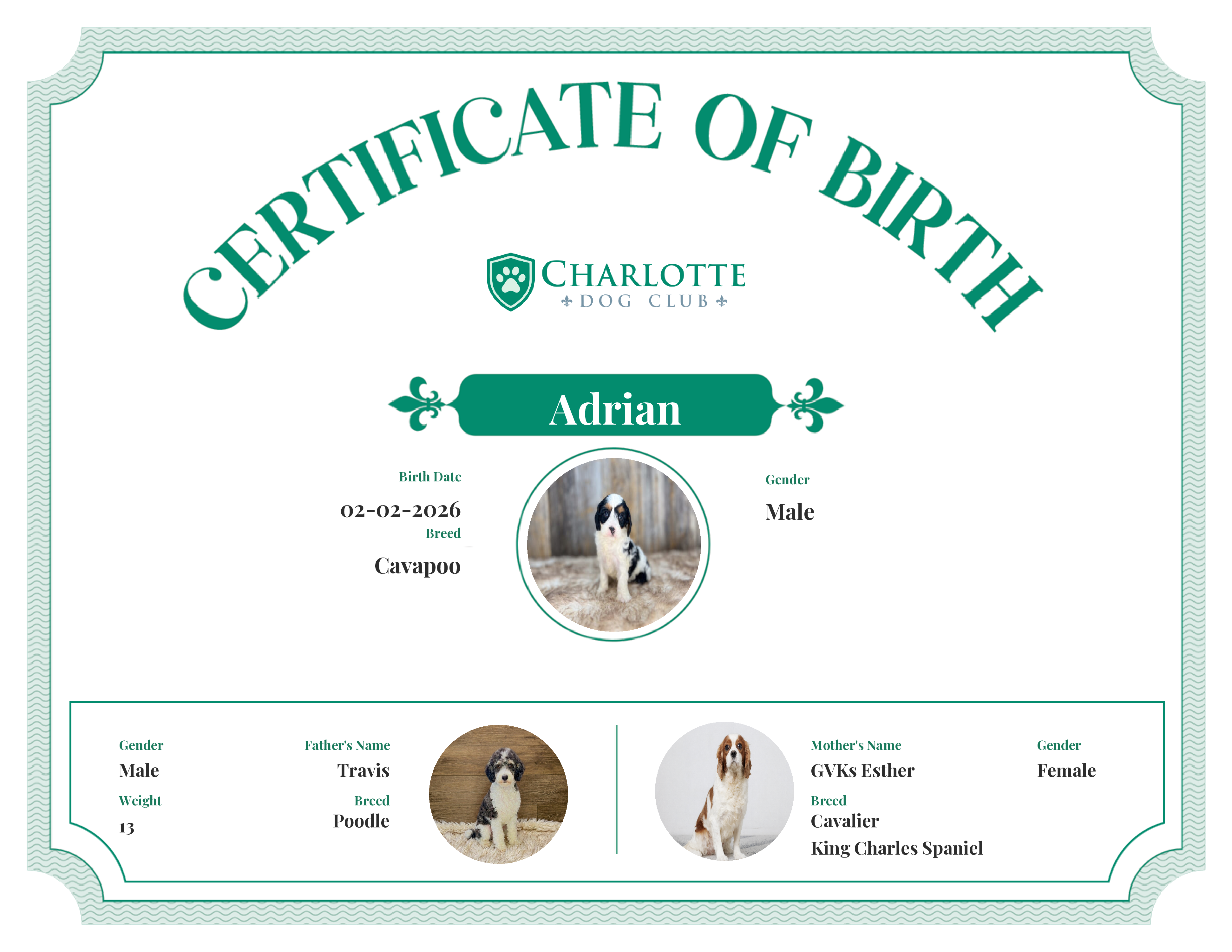 Adrian's Birth Certificate