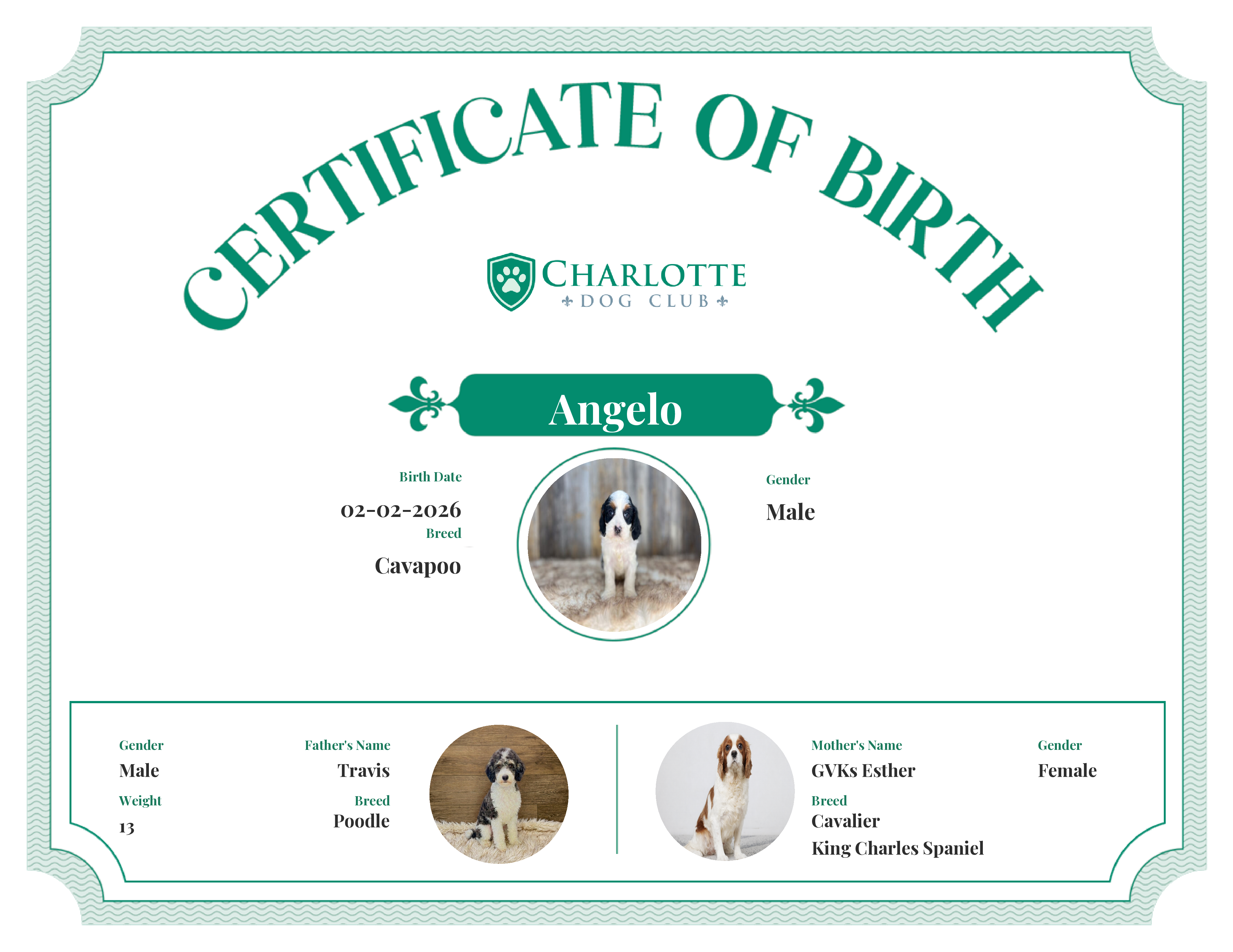 Angelo's Birth Certificate