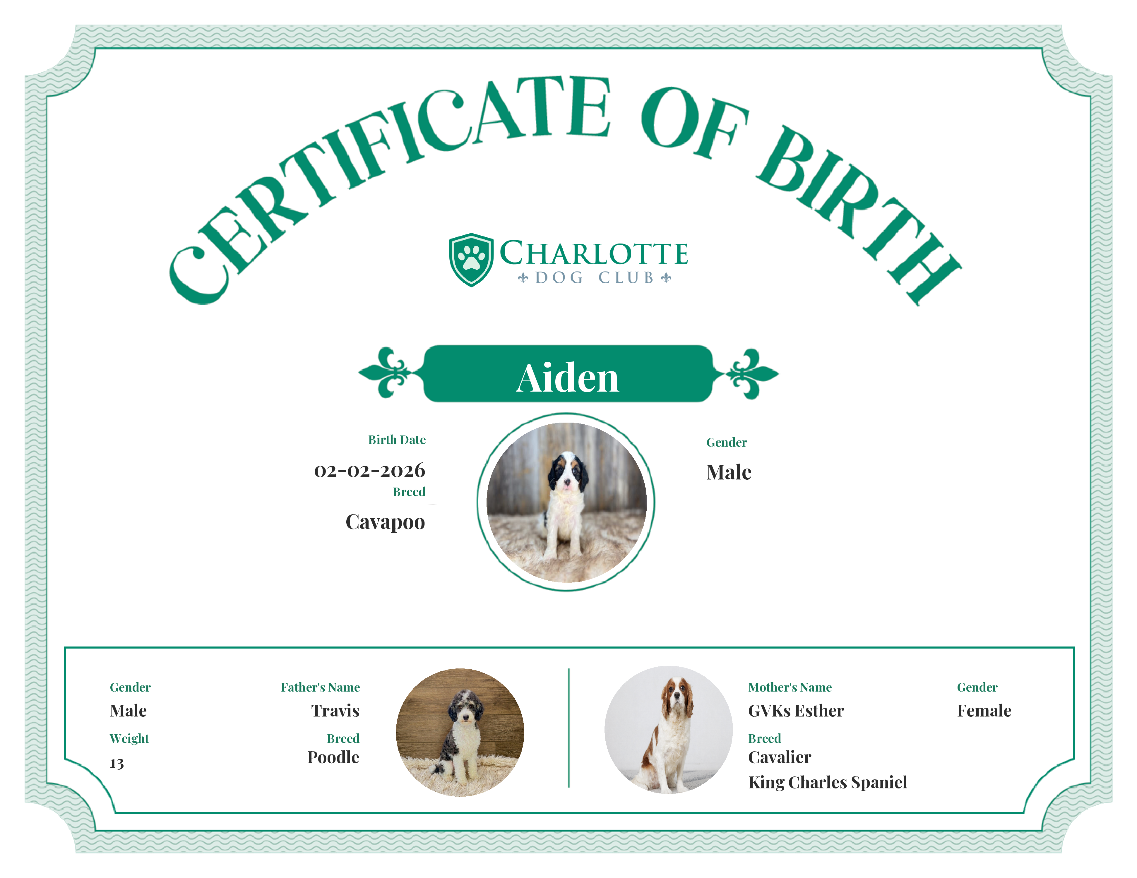 Aiden's Birth Certificate
