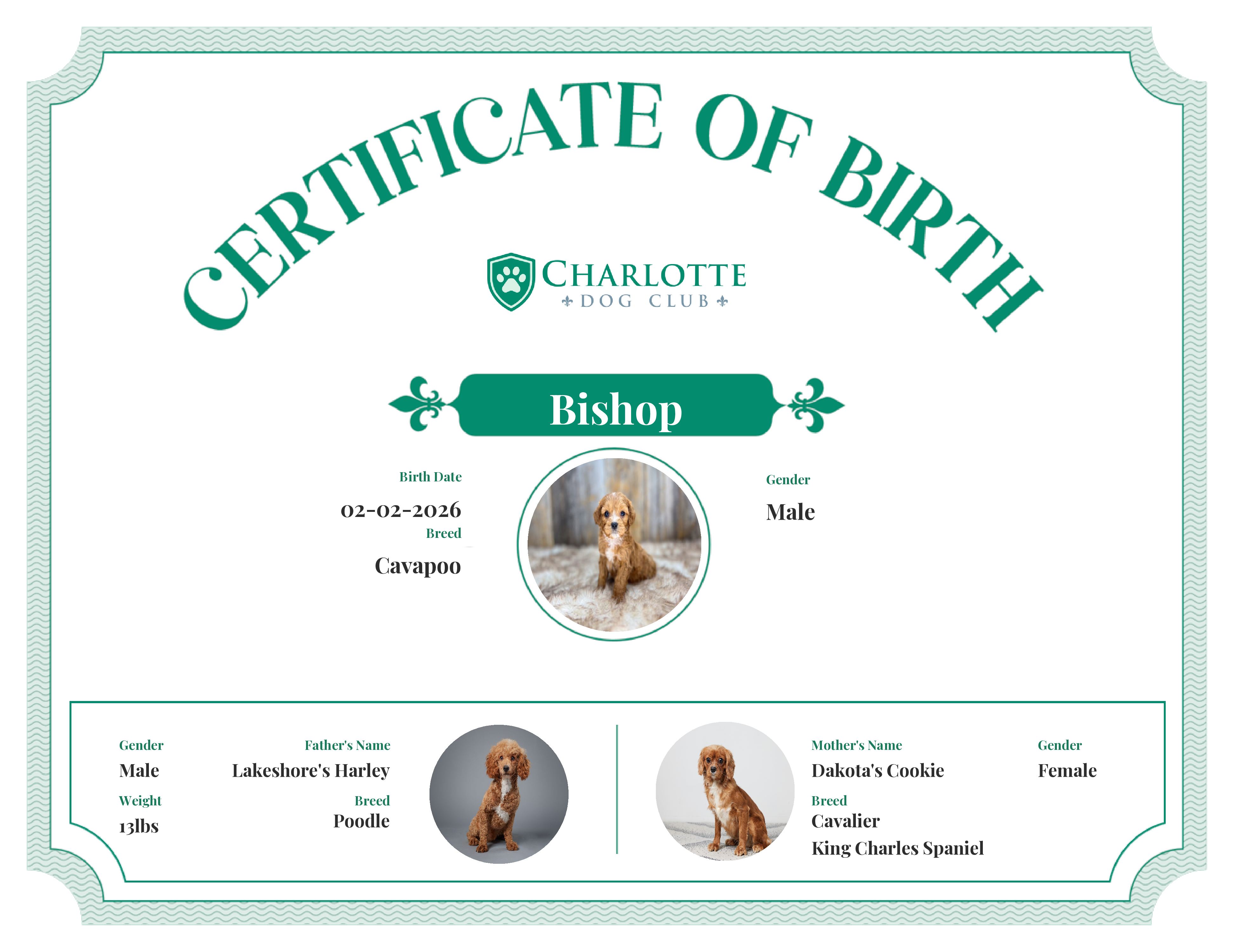 Bishop's Birth Certificate