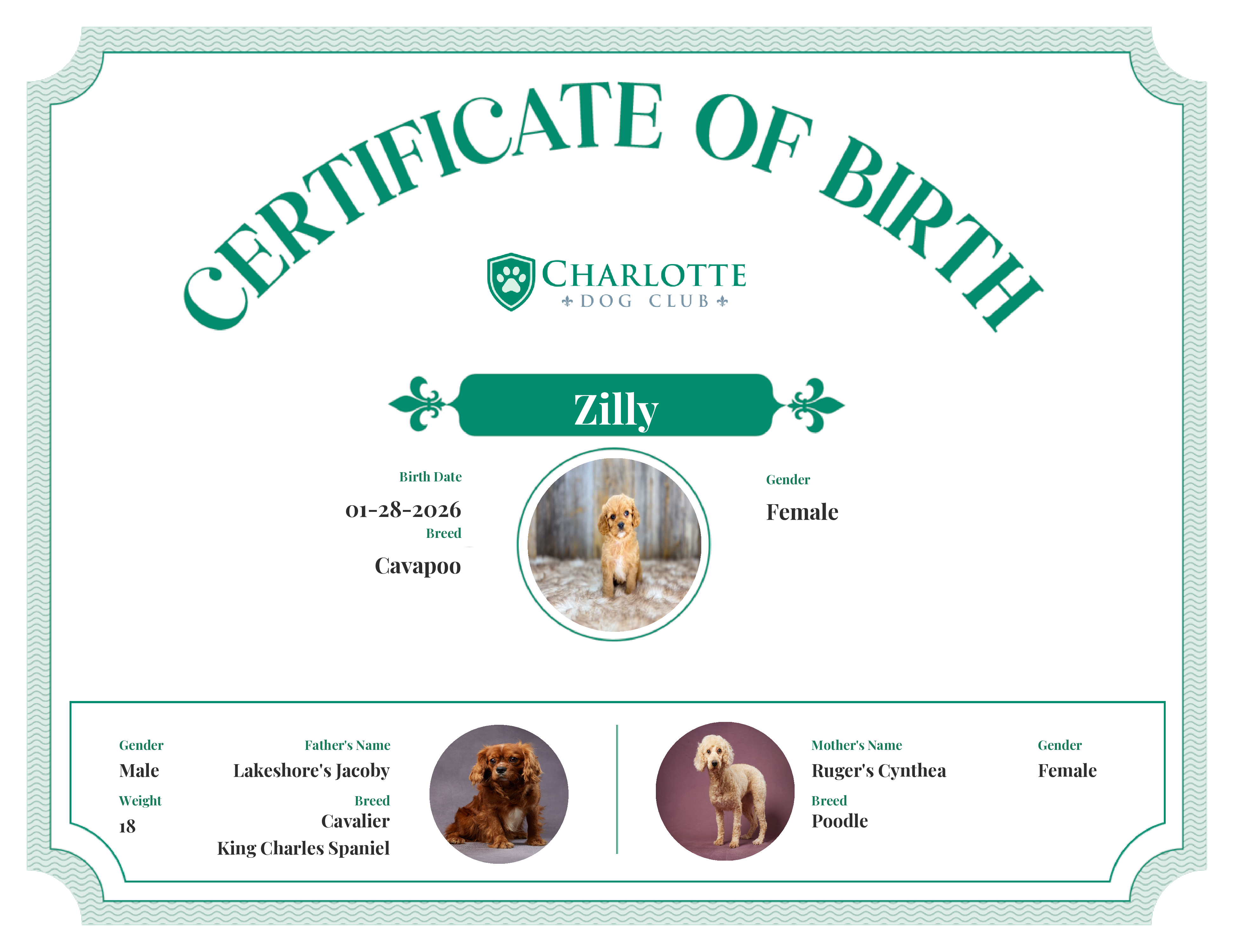 Zilly's Birth Certificate