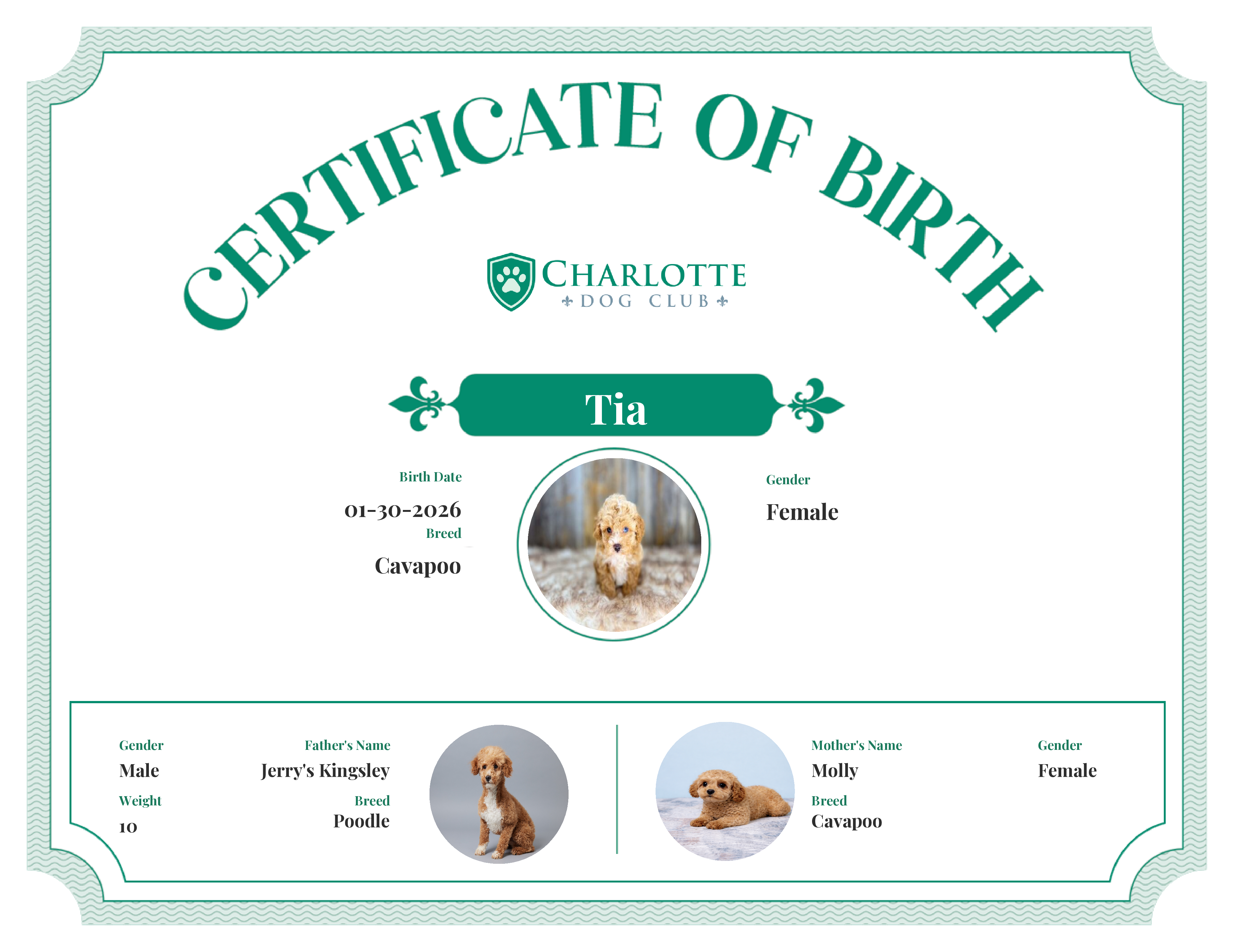 Tia's Birth Certificate