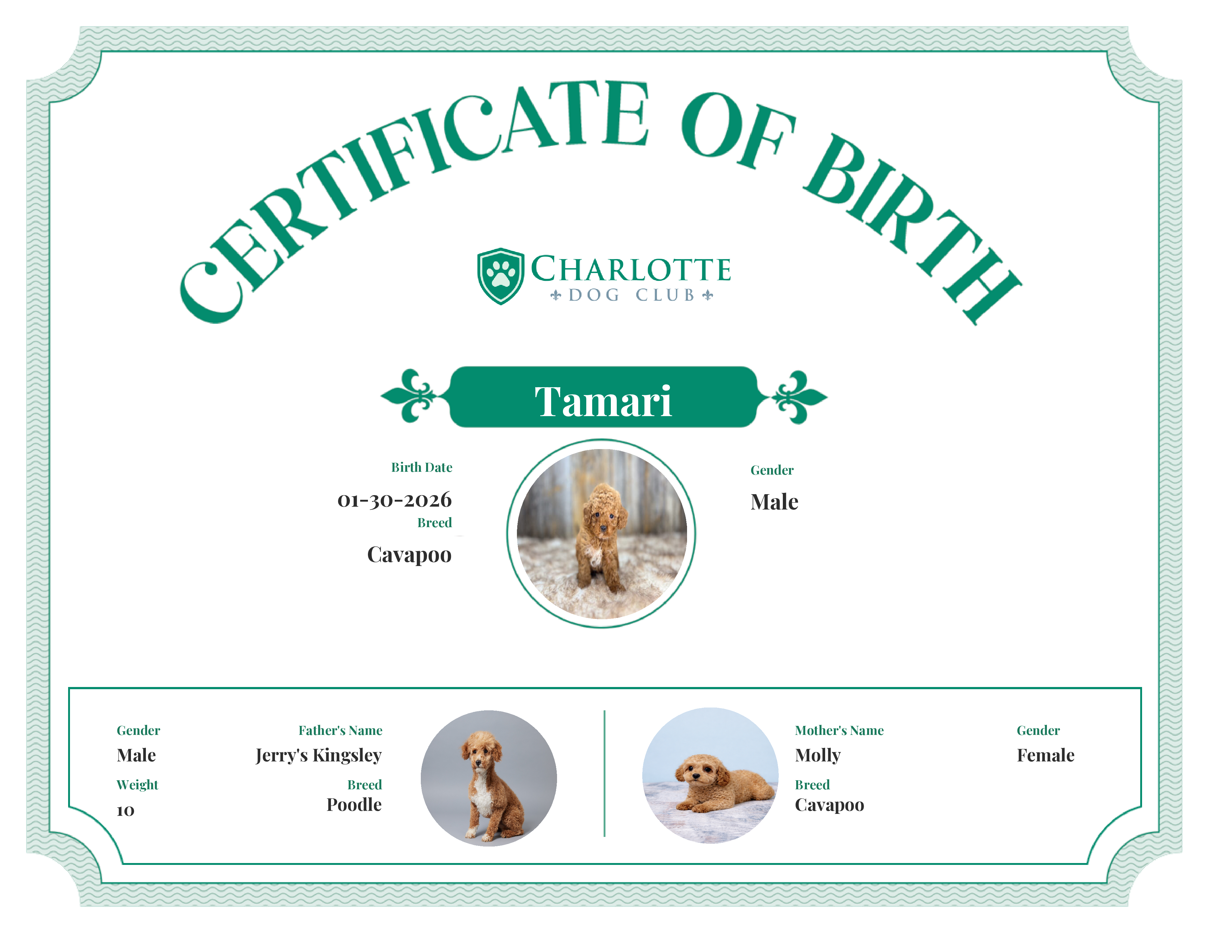 Tamari's Birth Certificate