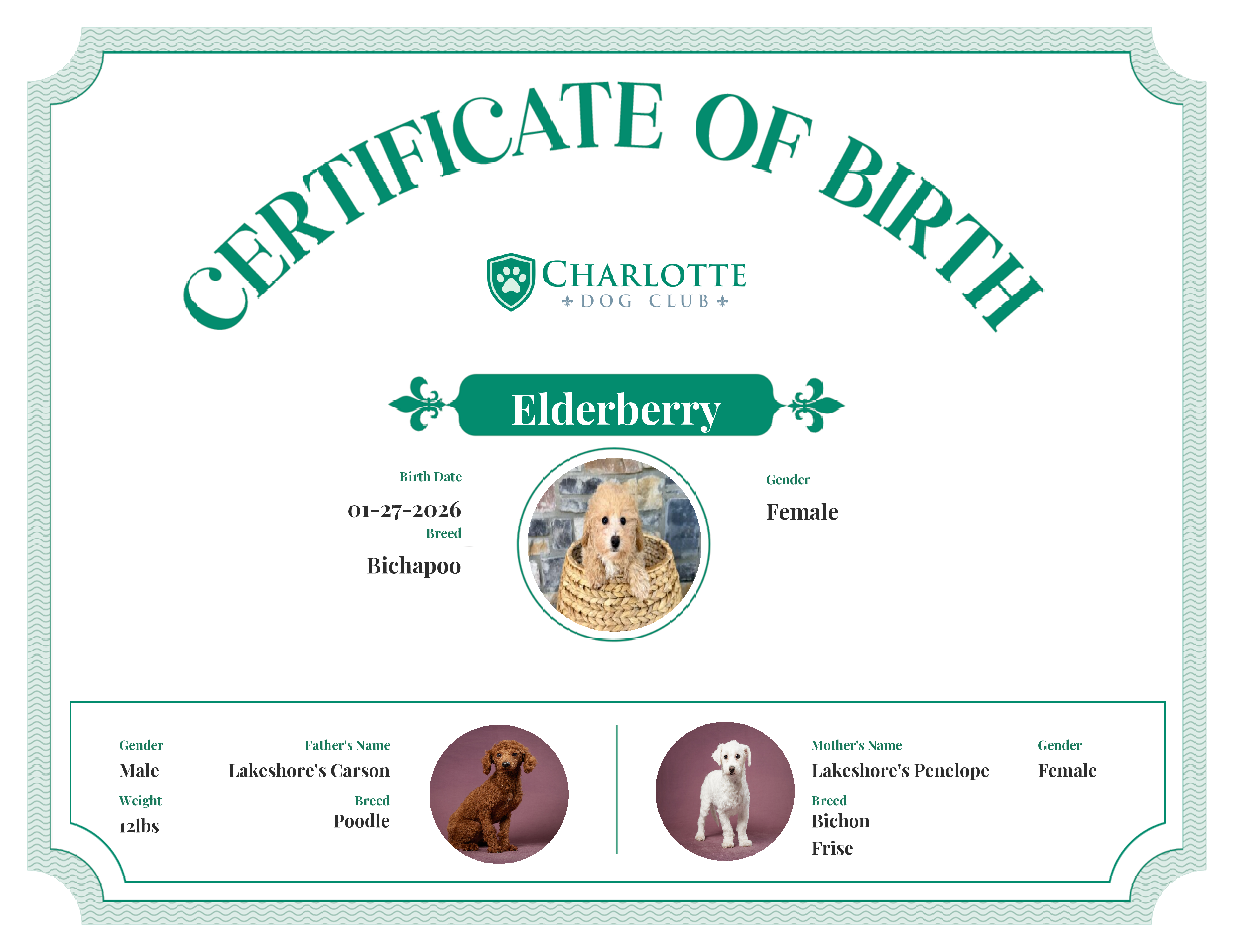 Elderberry's Birth Certificate