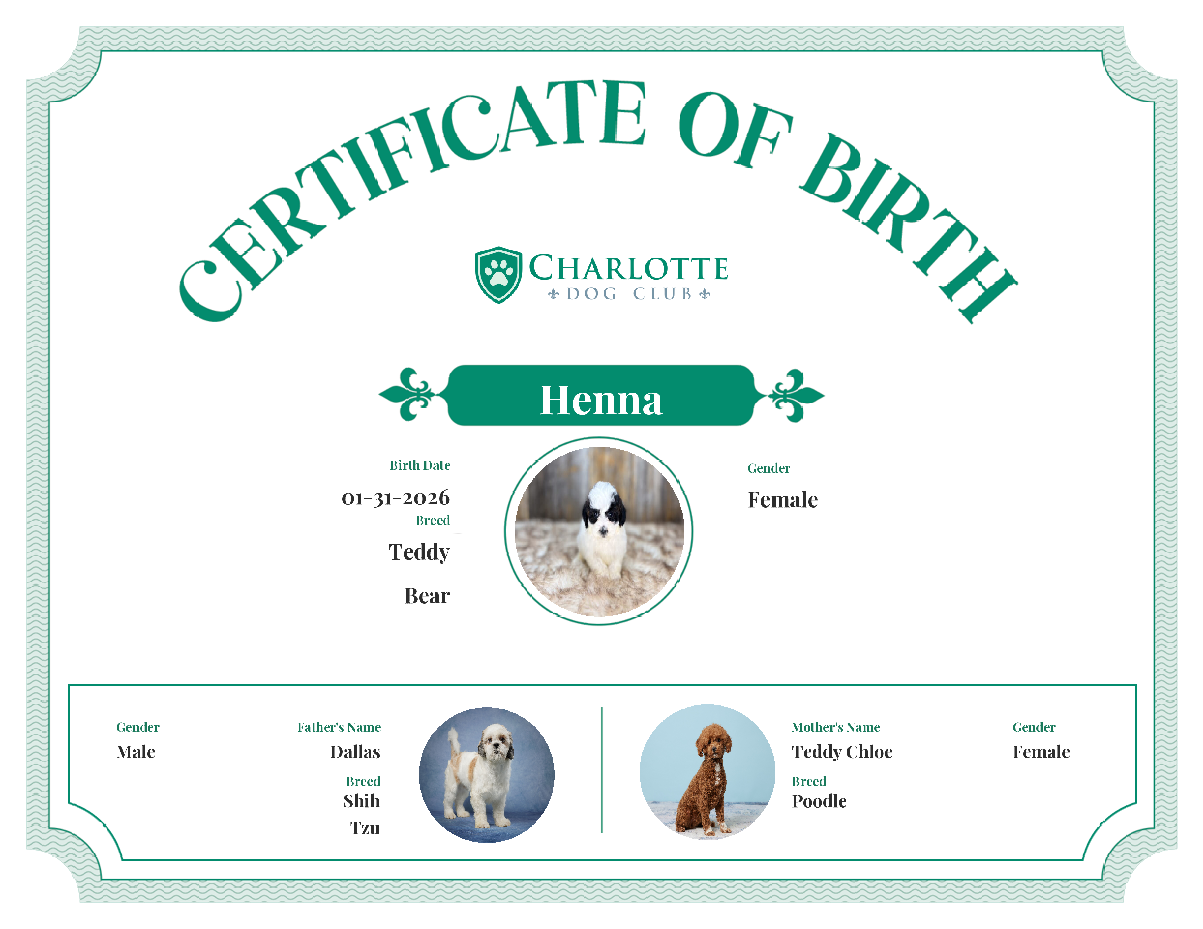 Henna's Birth Certificate