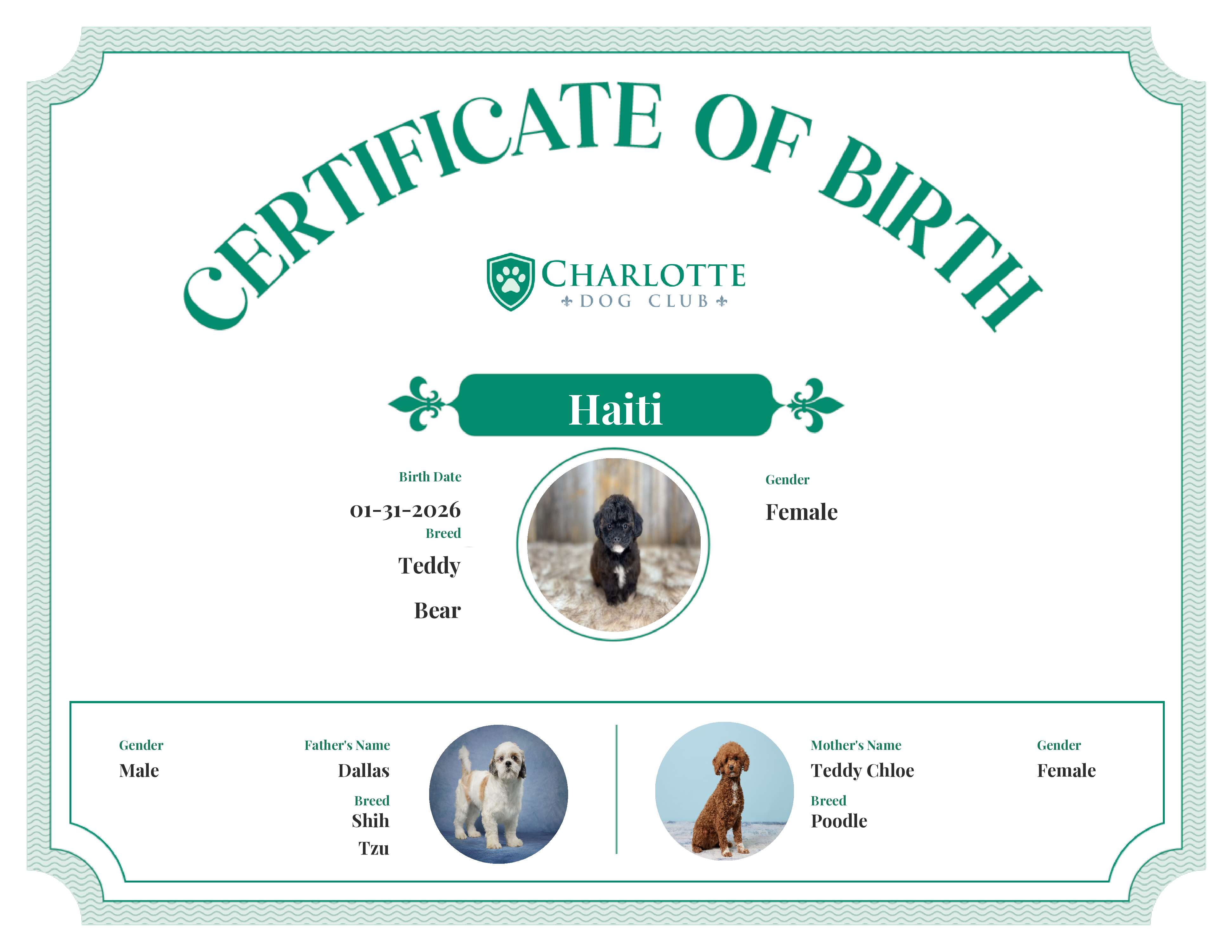 Haiti's Birth Certificate