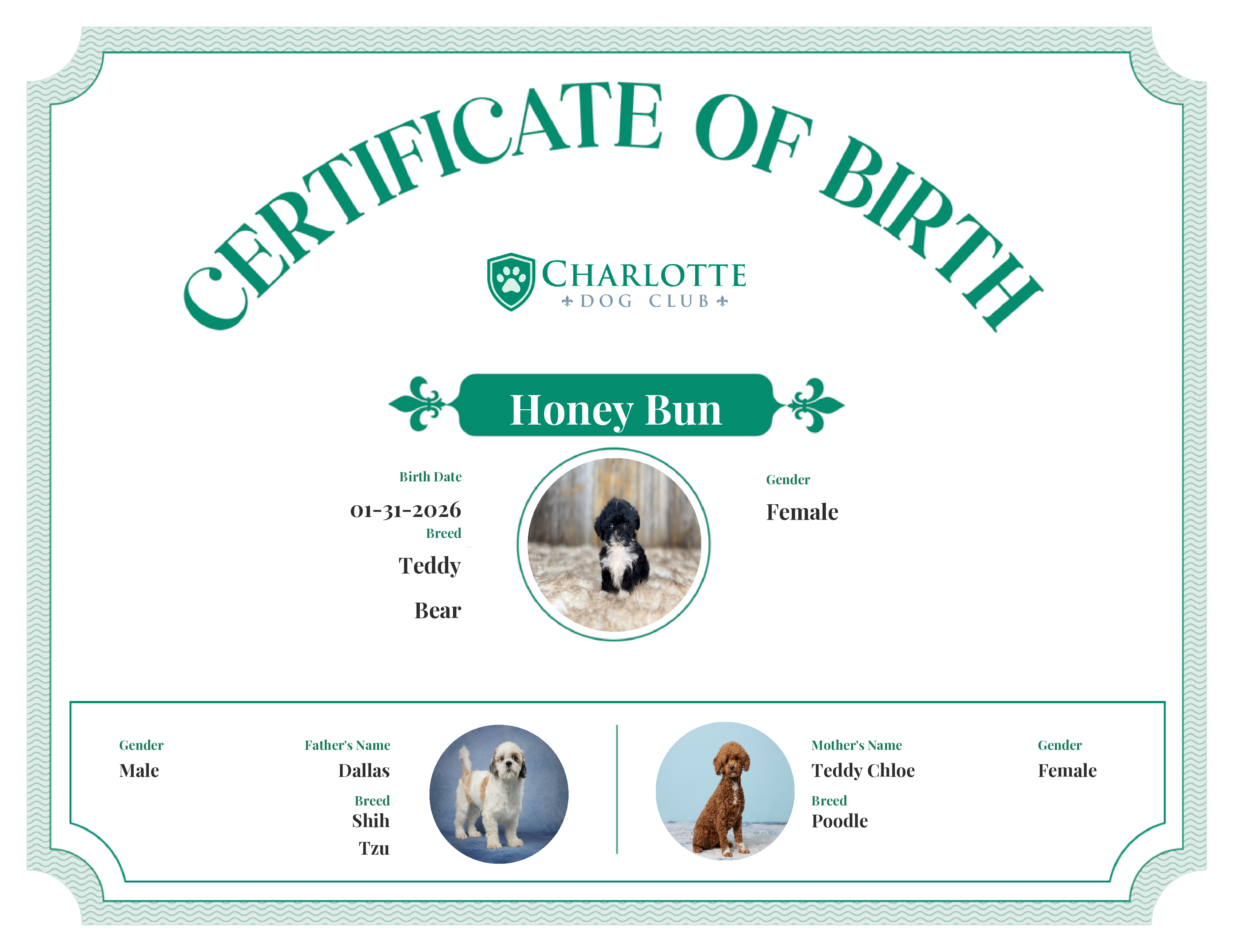 Honey Bun's Birth Certificate