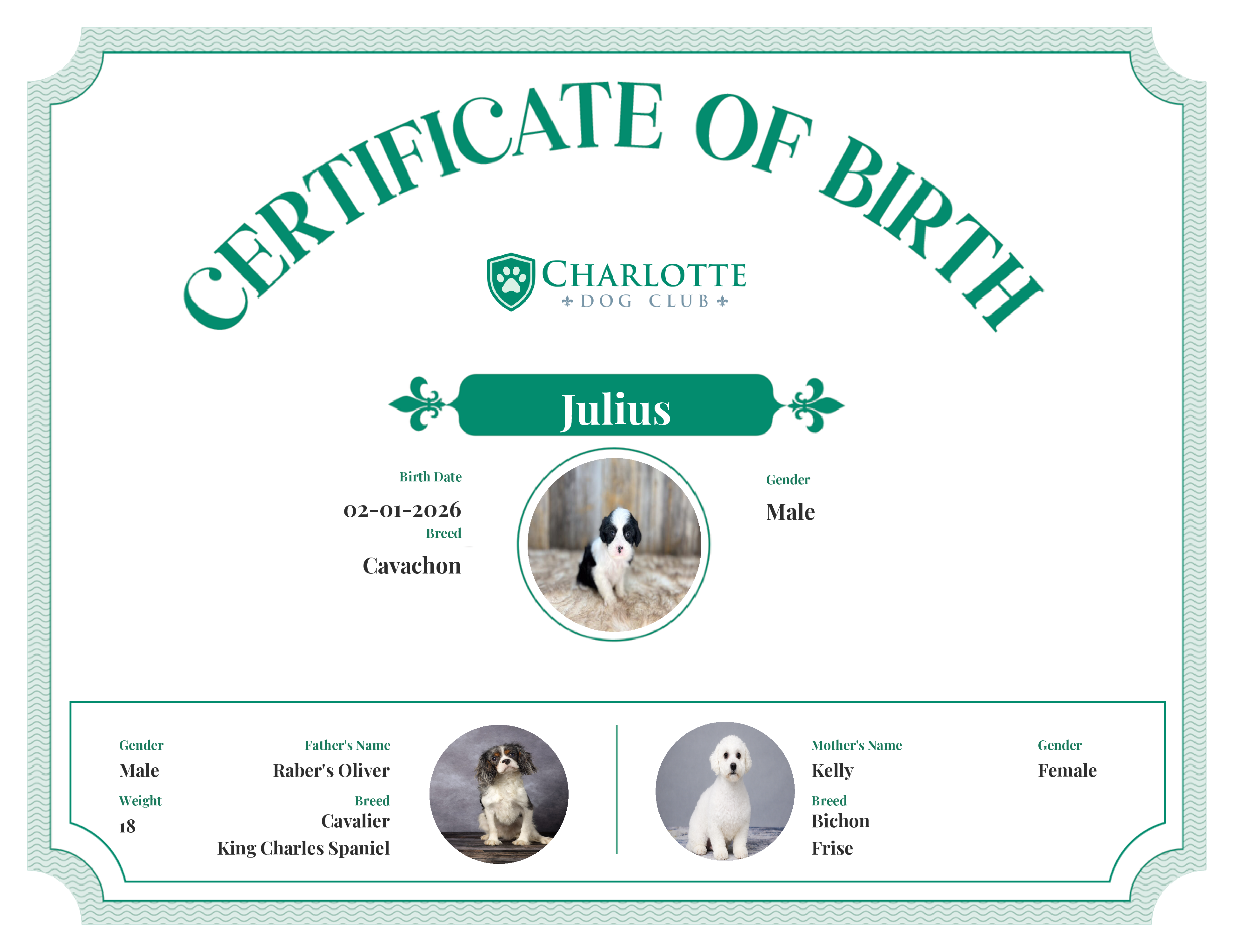 Julius's Birth Certificate
