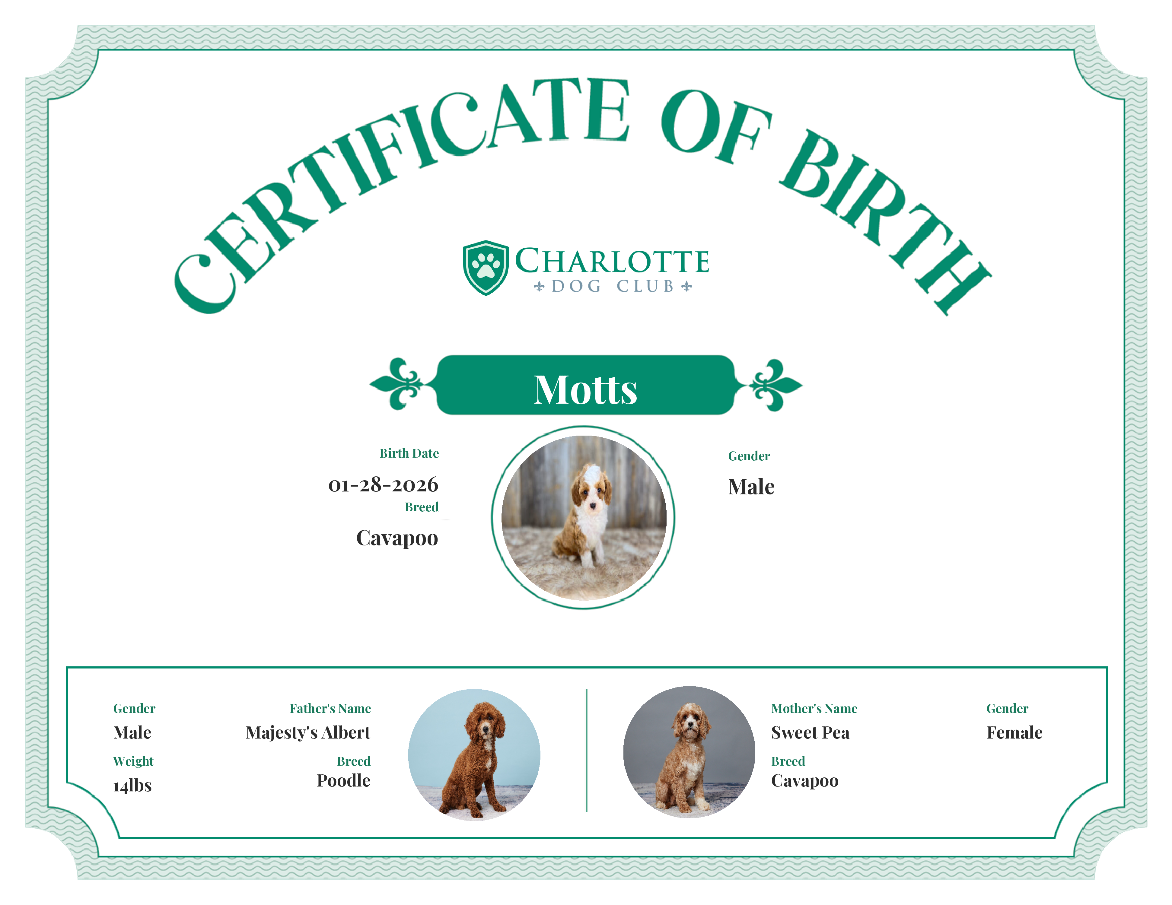 Motts's Birth Certificate