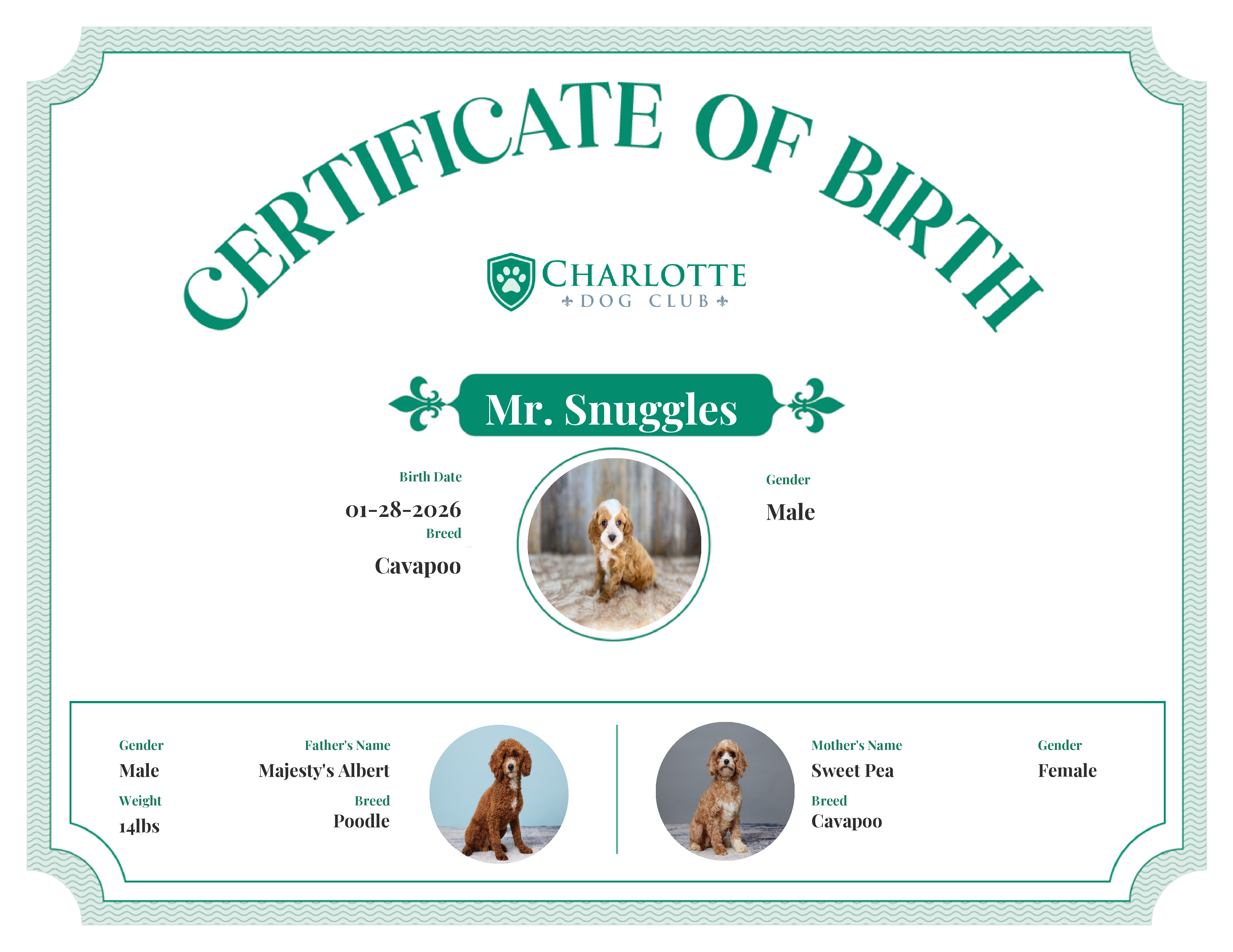 Mr. Snuggles 's Birth Certificate
