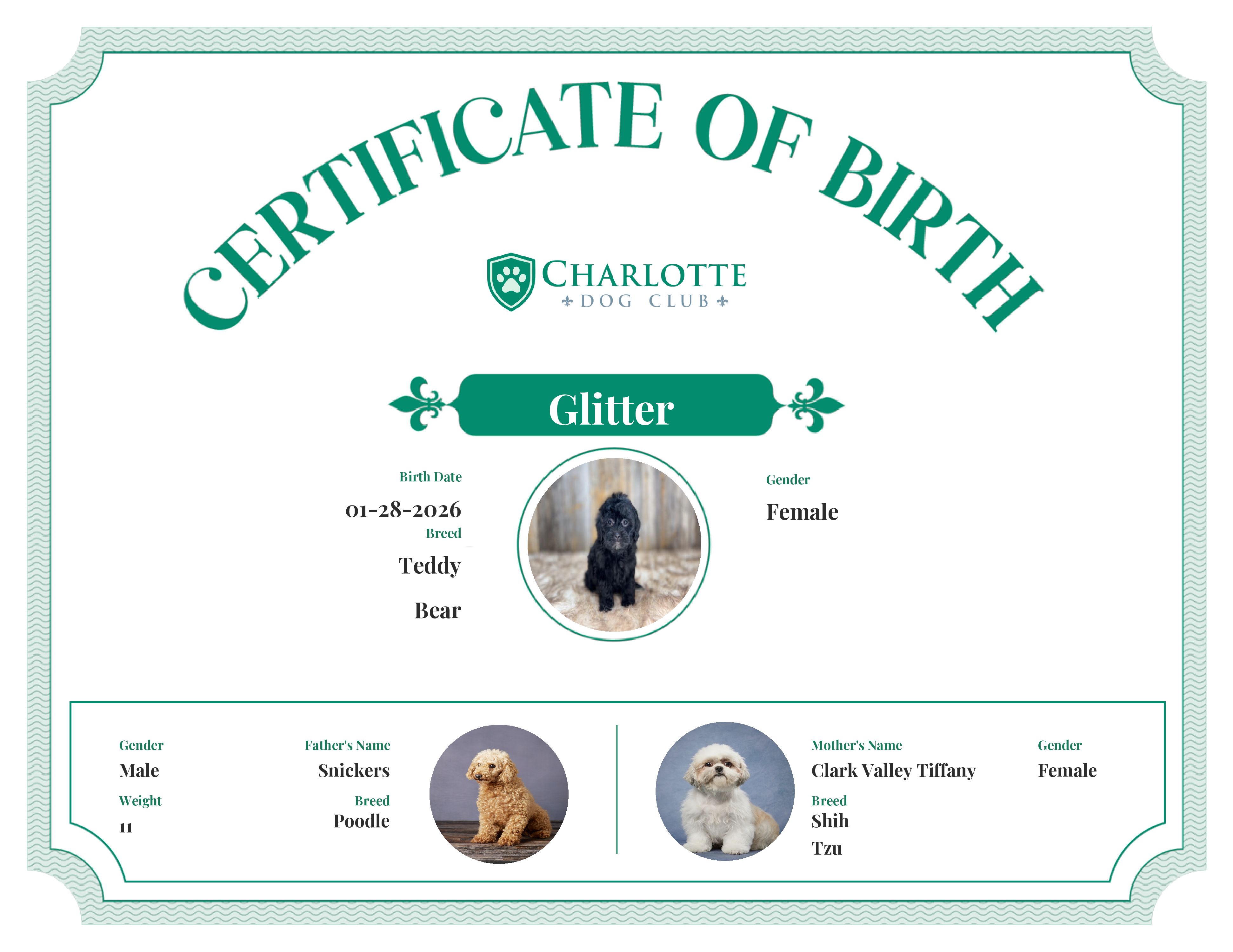 Glitter 's Birth Certificate