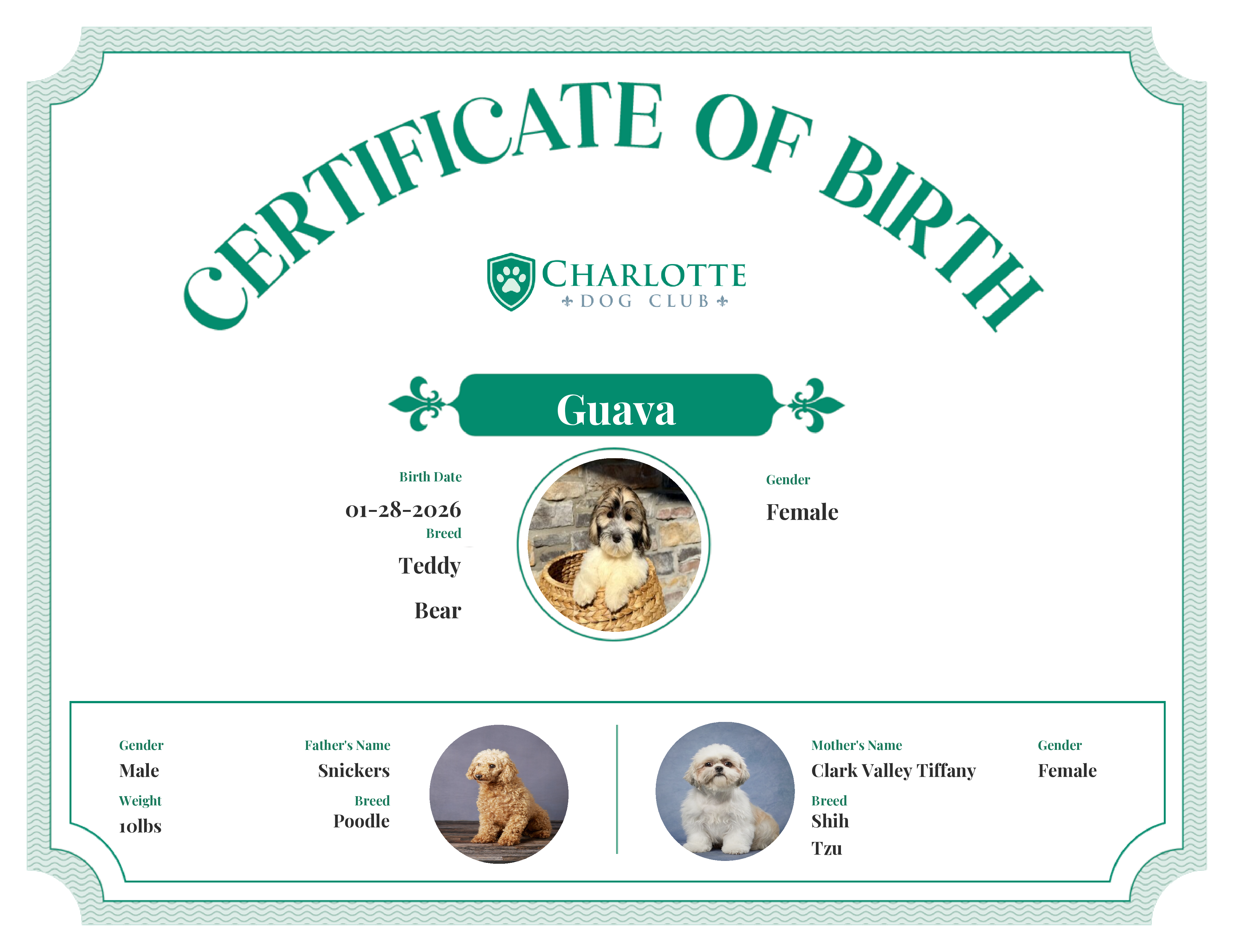 Guava's Birth Certificate