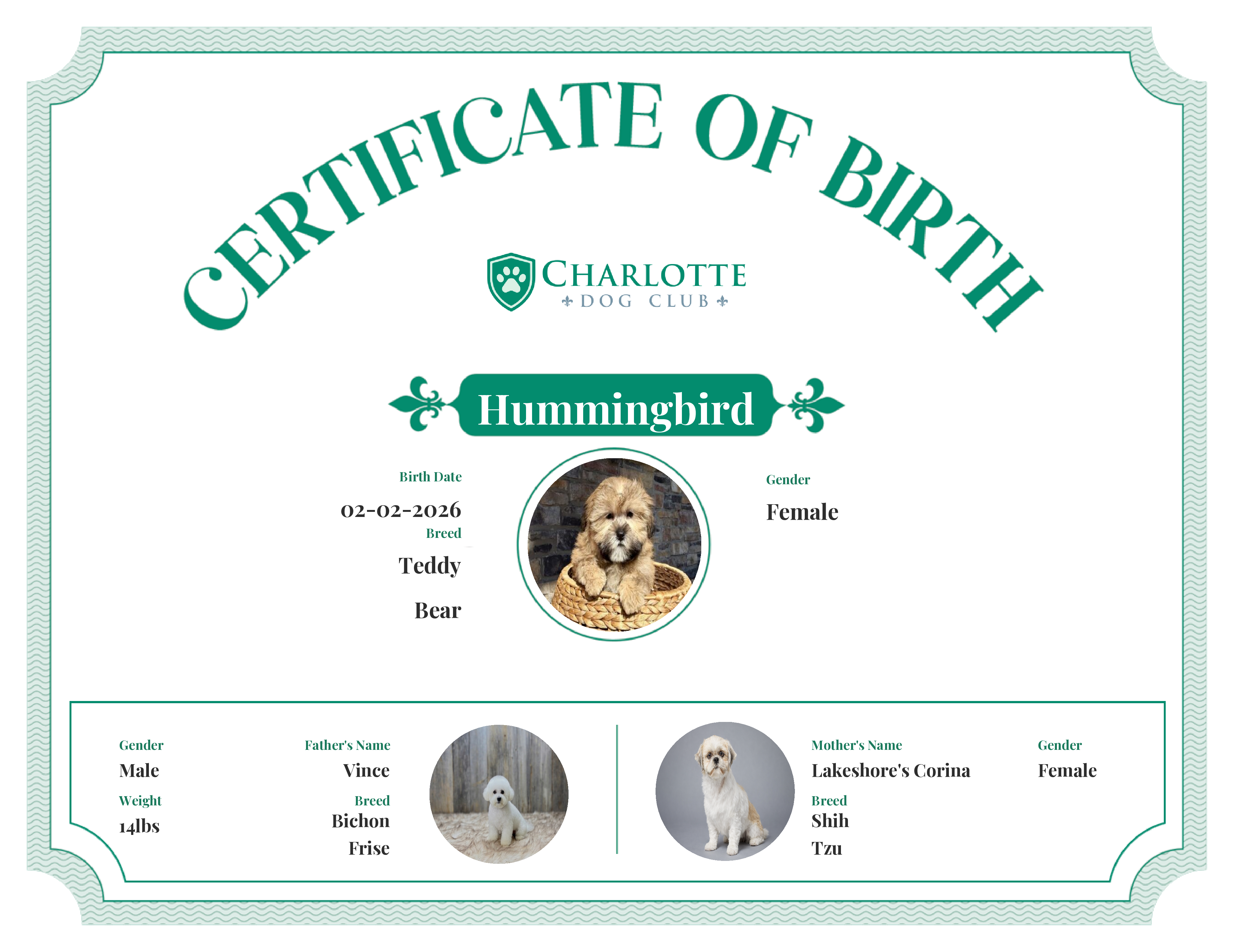 Hummingbird's Birth Certificate
