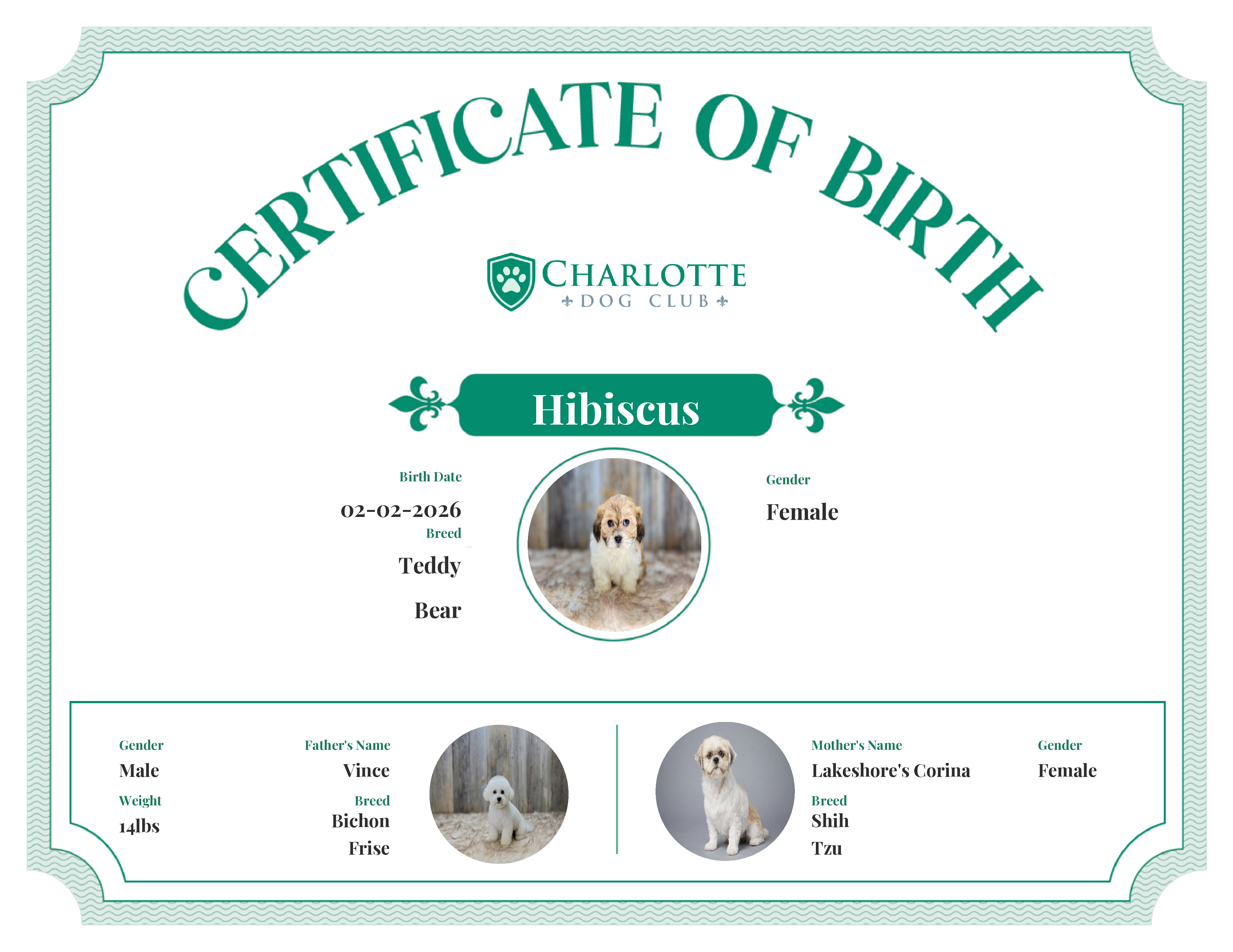 Hibiscus's Birth Certificate