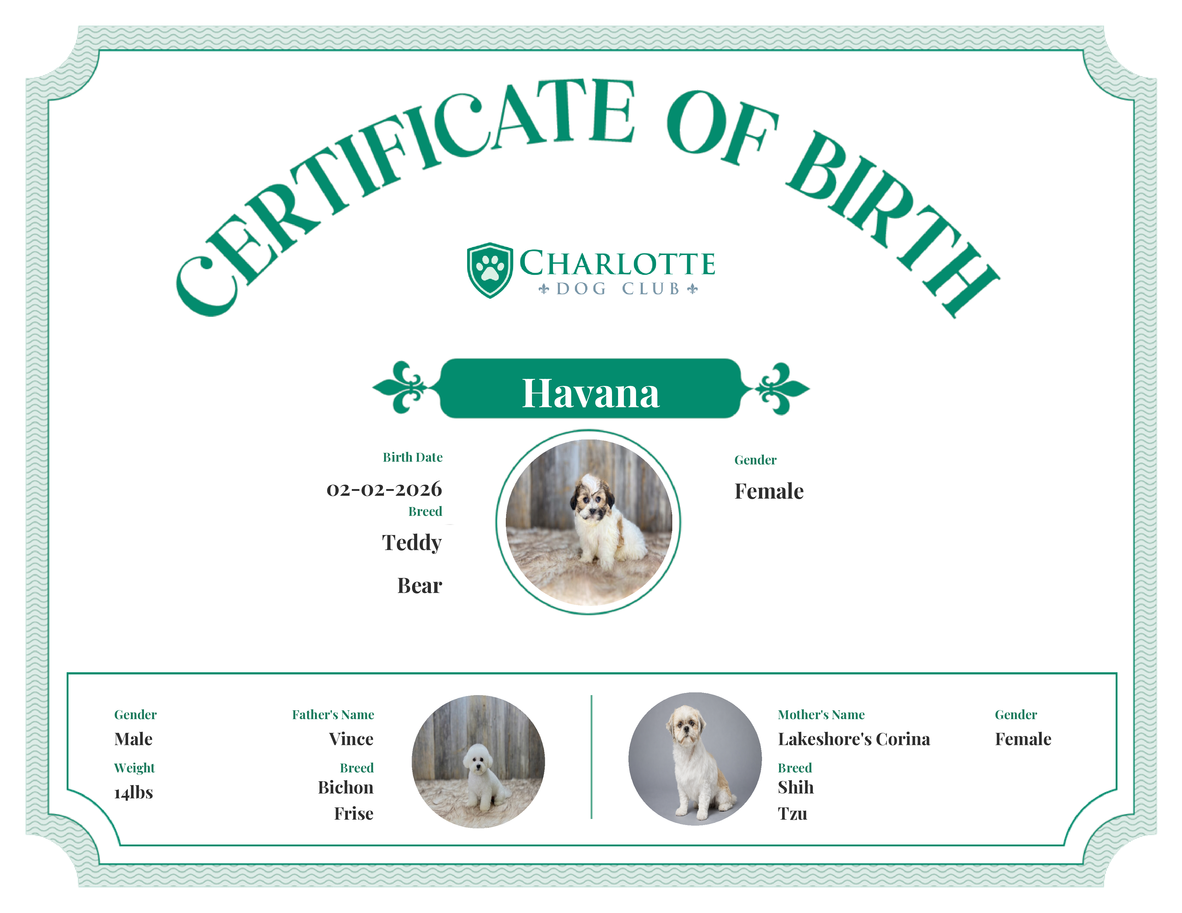 Havana's Birth Certificate