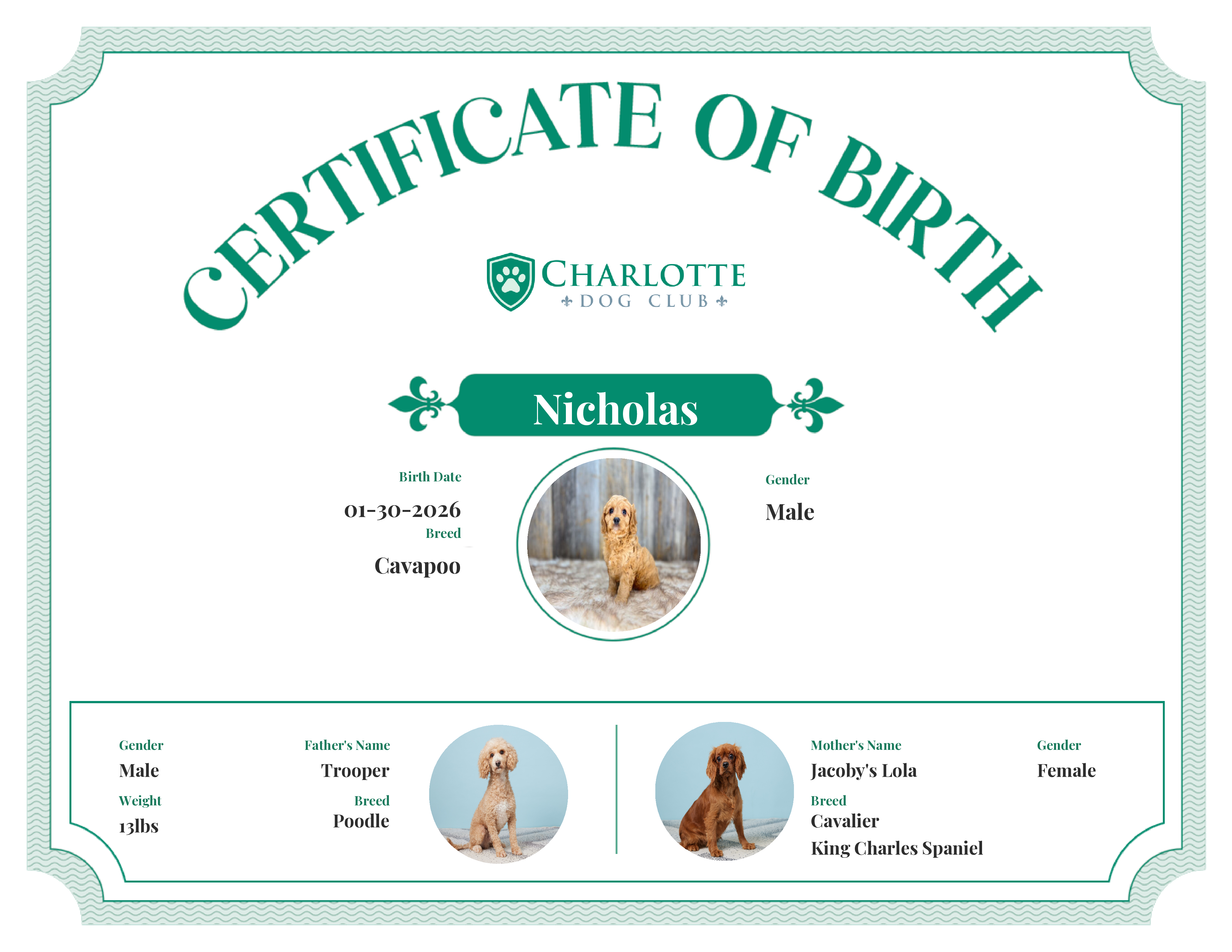 Nicholas's Birth Certificate