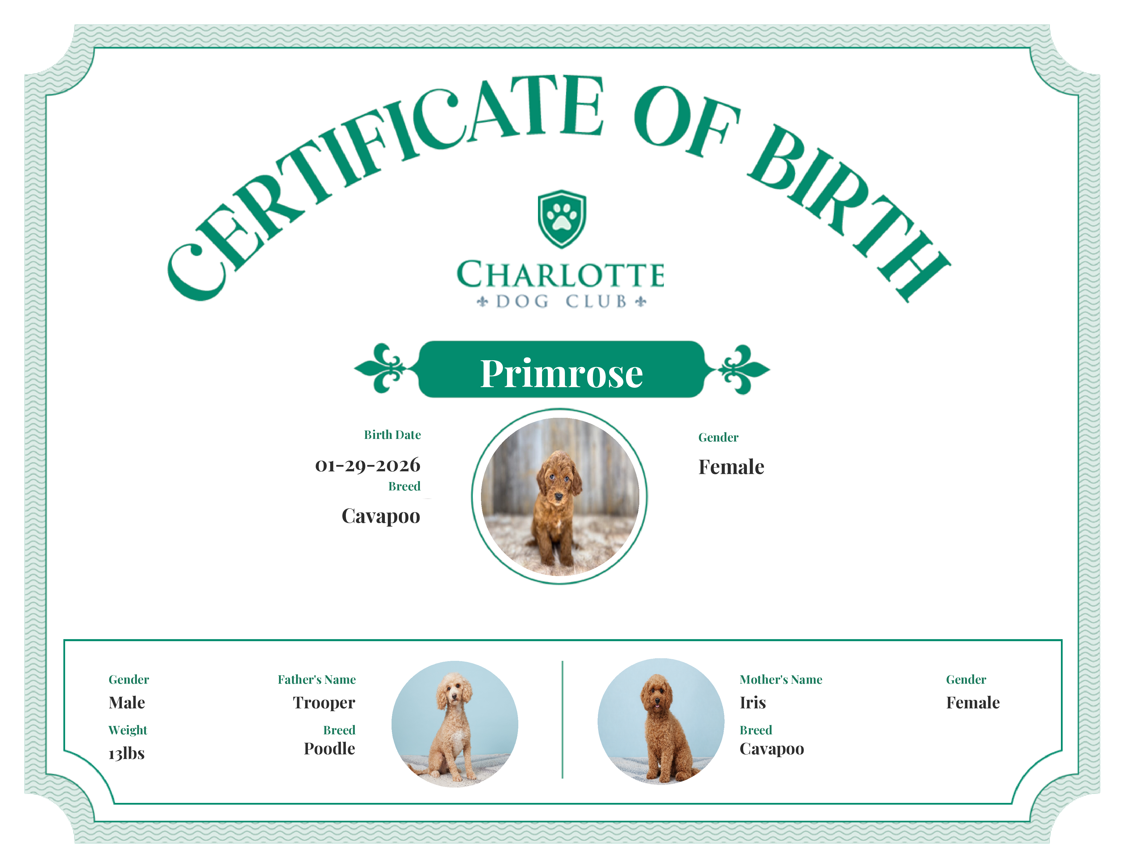 Primrose's Birth Certificate