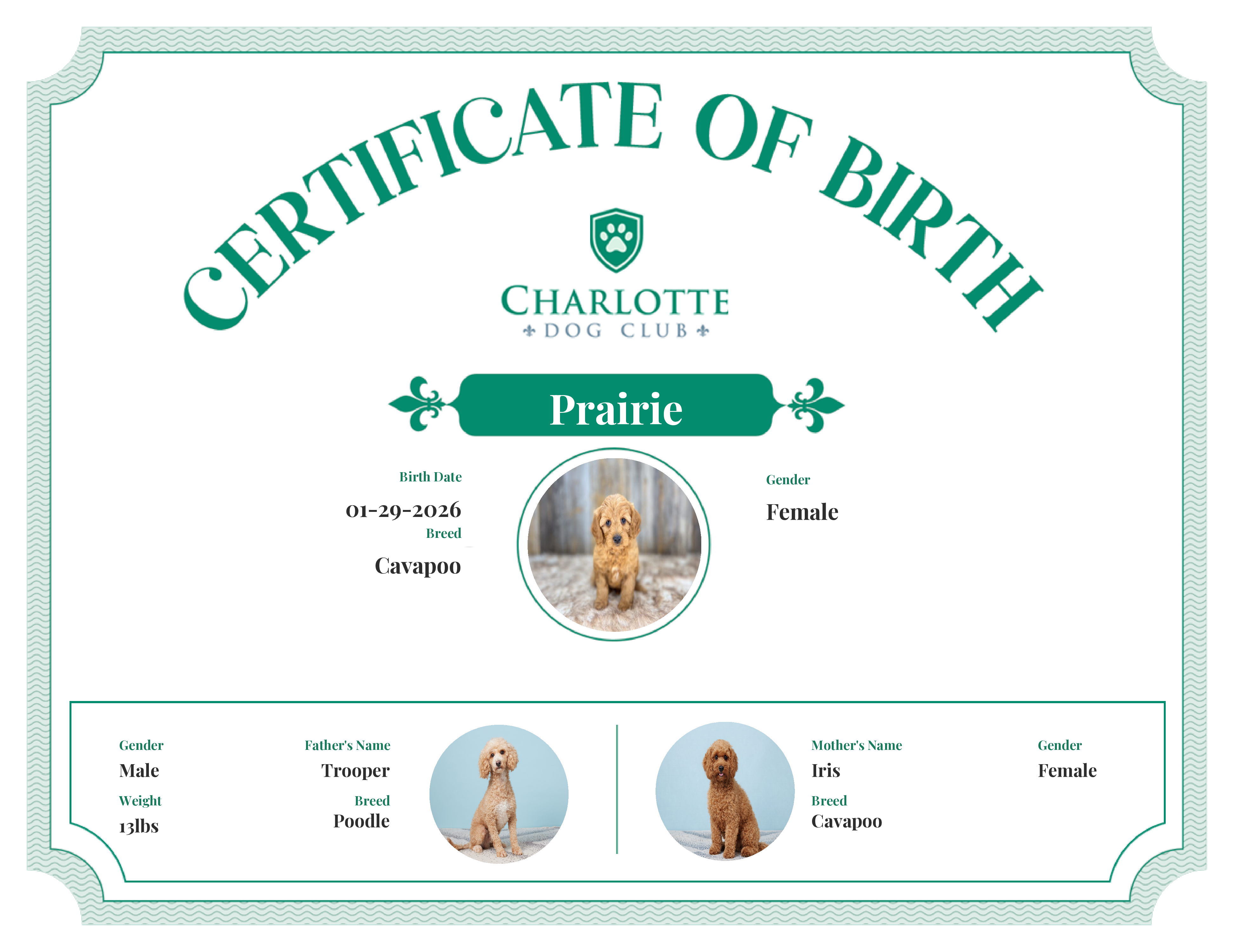 Prairie's Birth Certificate