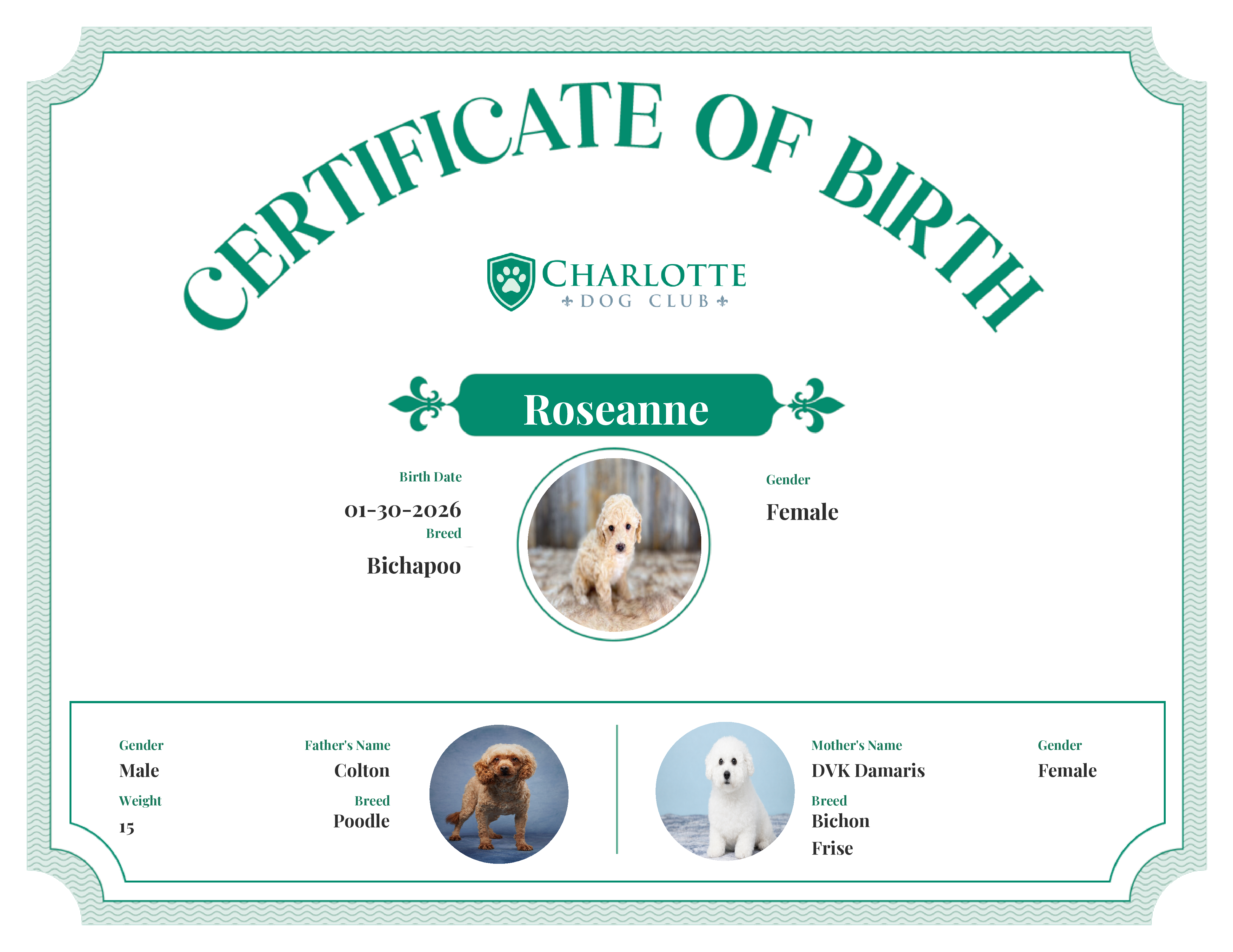 Roseanne's Birth Certificate