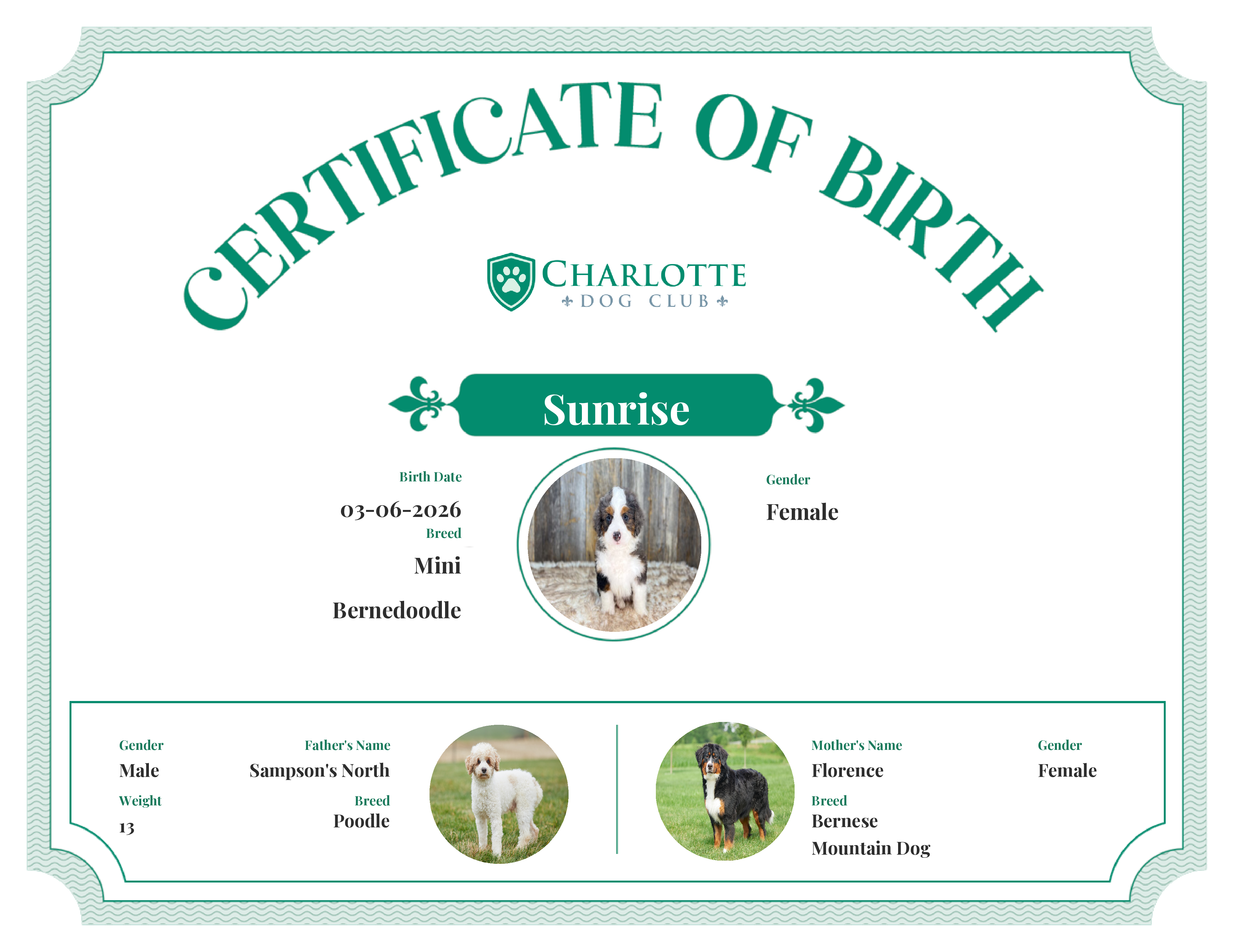 Sunrise's Birth Certificate