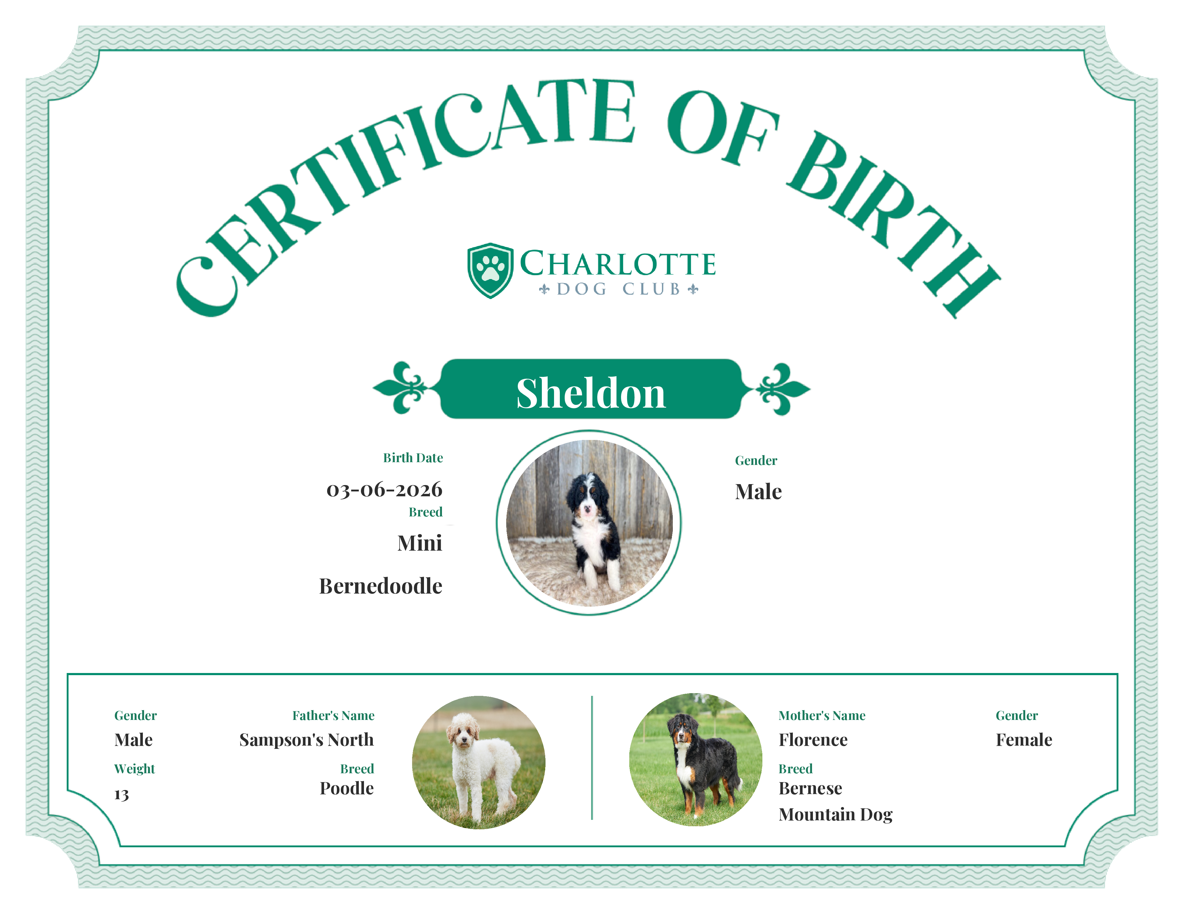 Sheldon's Birth Certificate