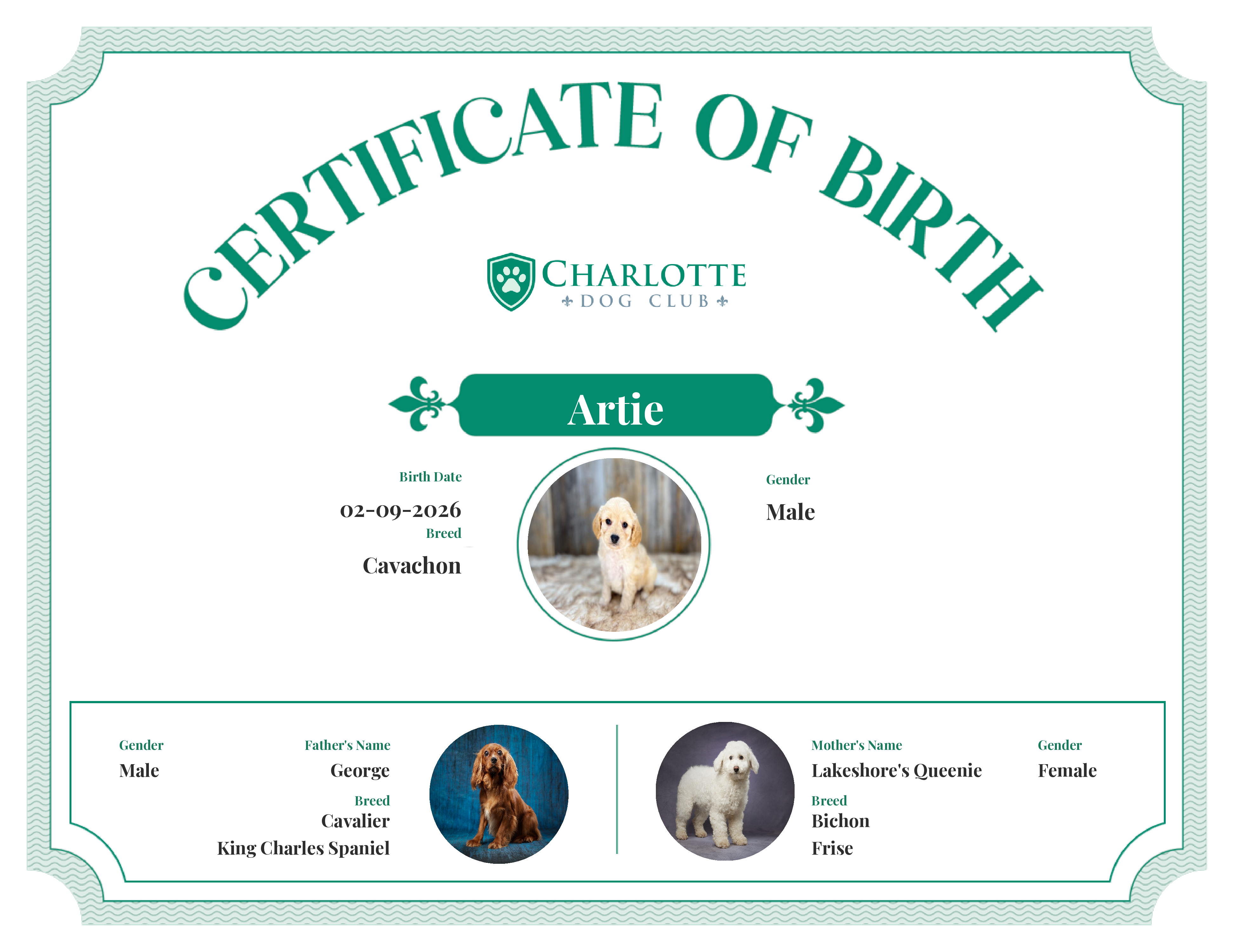 Artie's Birth Certificate