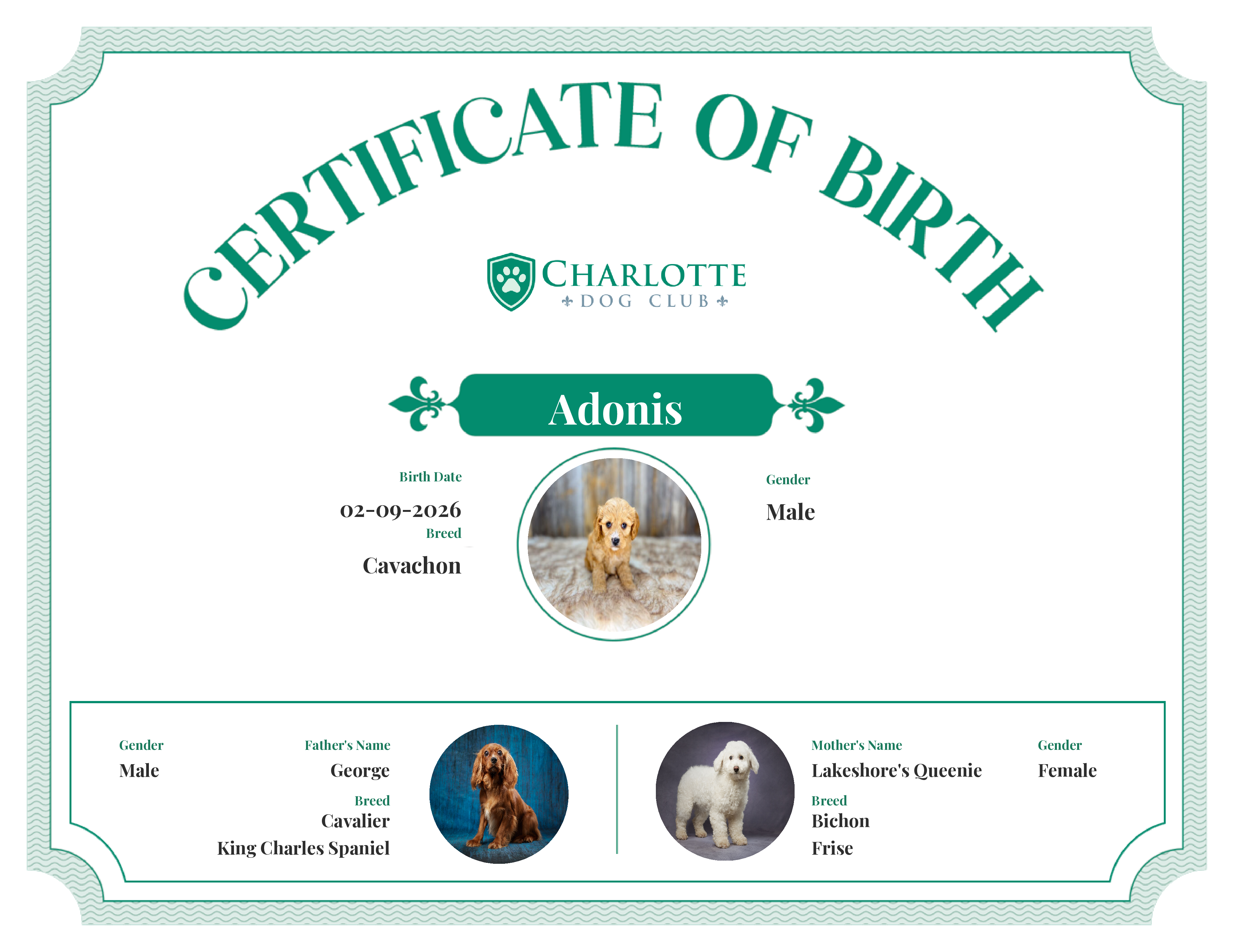 Adonis's Birth Certificate