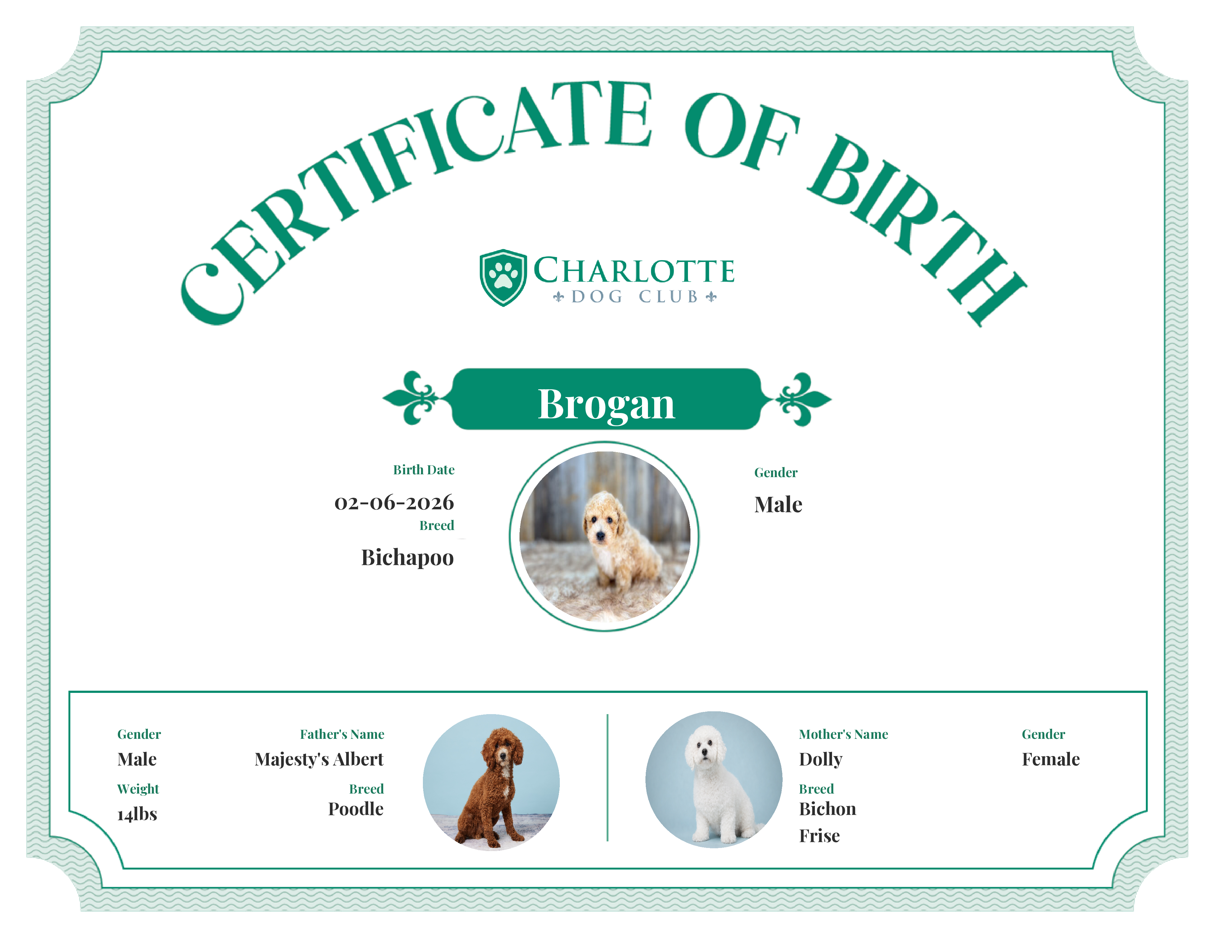 Brogan's Birth Certificate