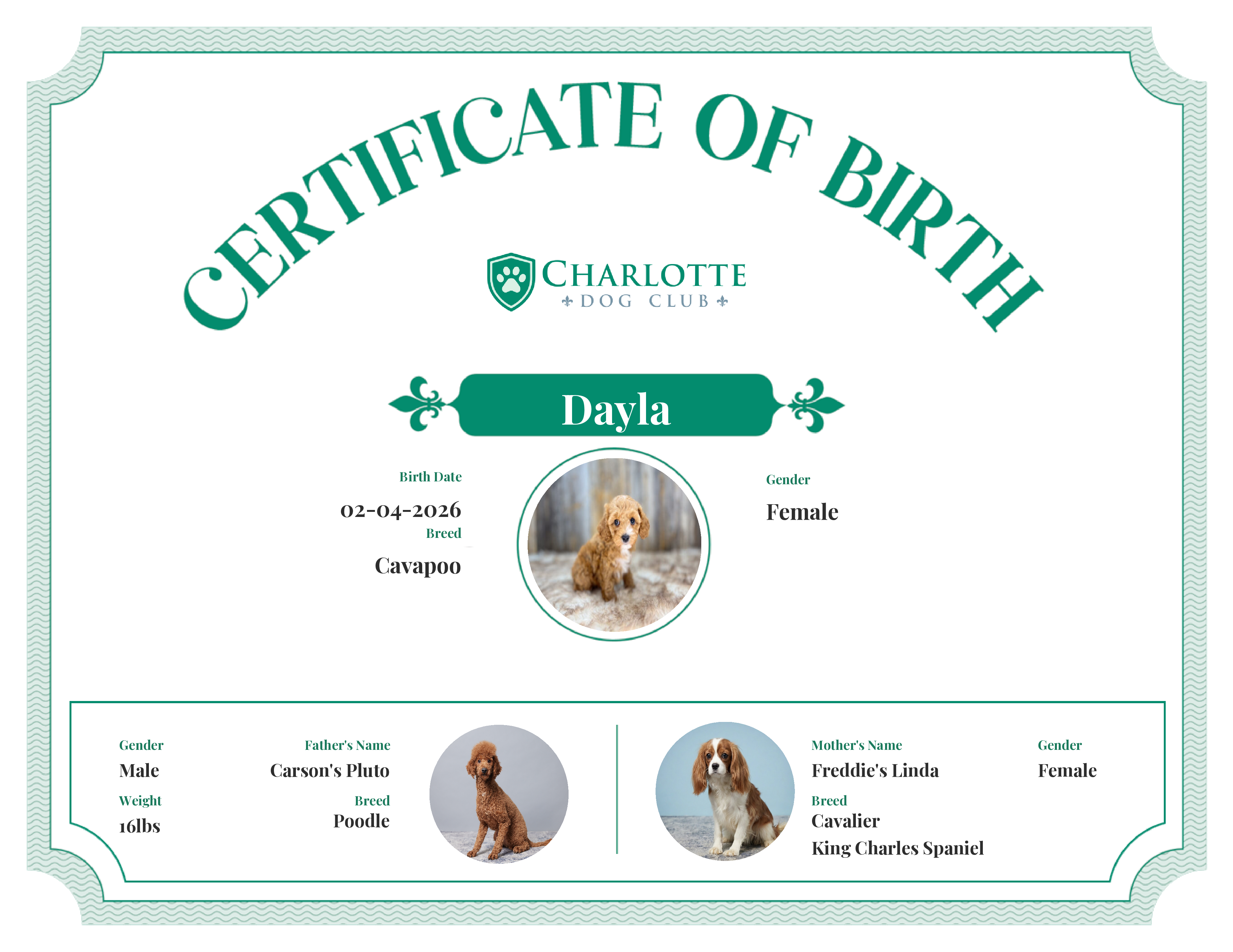 Dayla's Birth Certificate