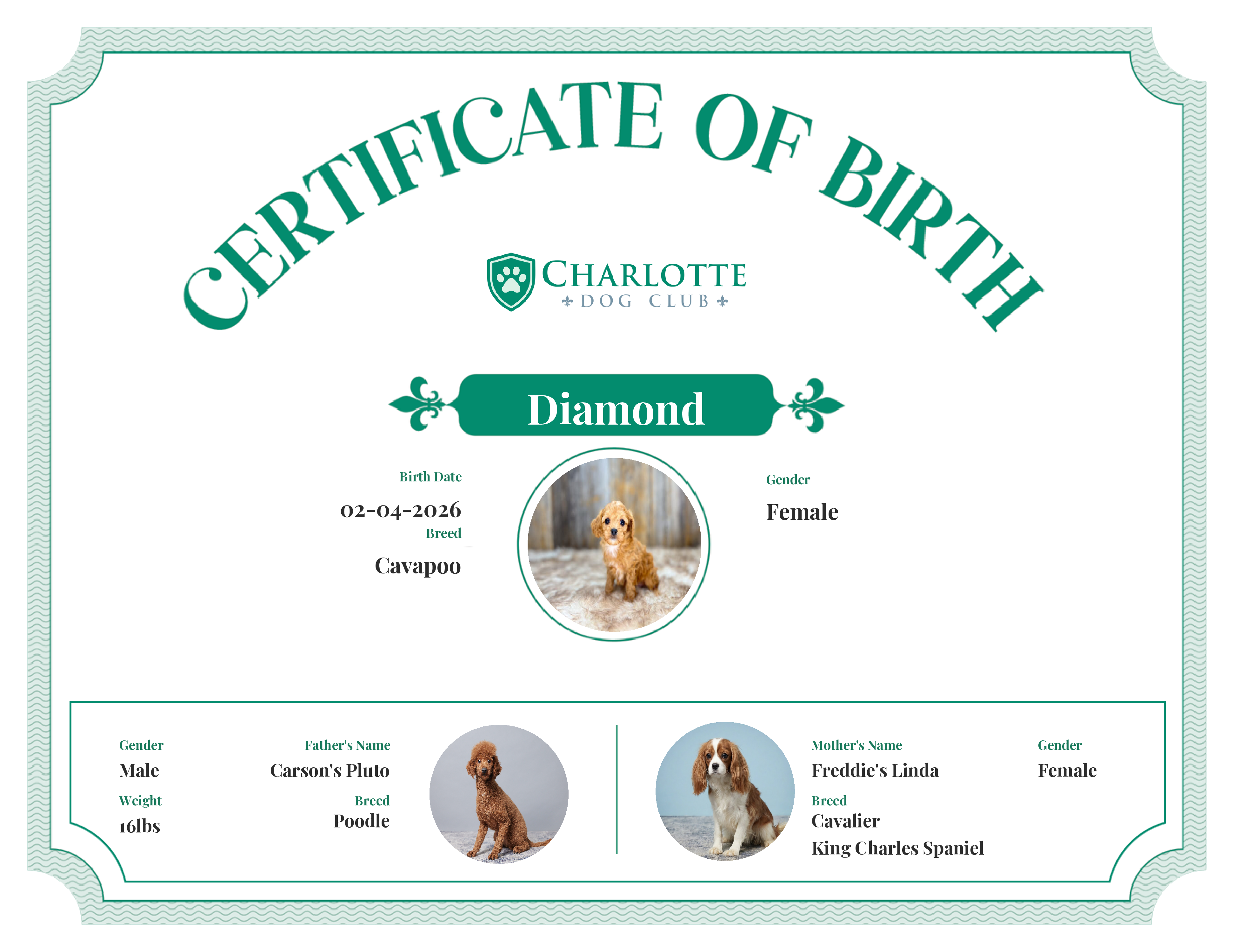 Diamond's Birth Certificate