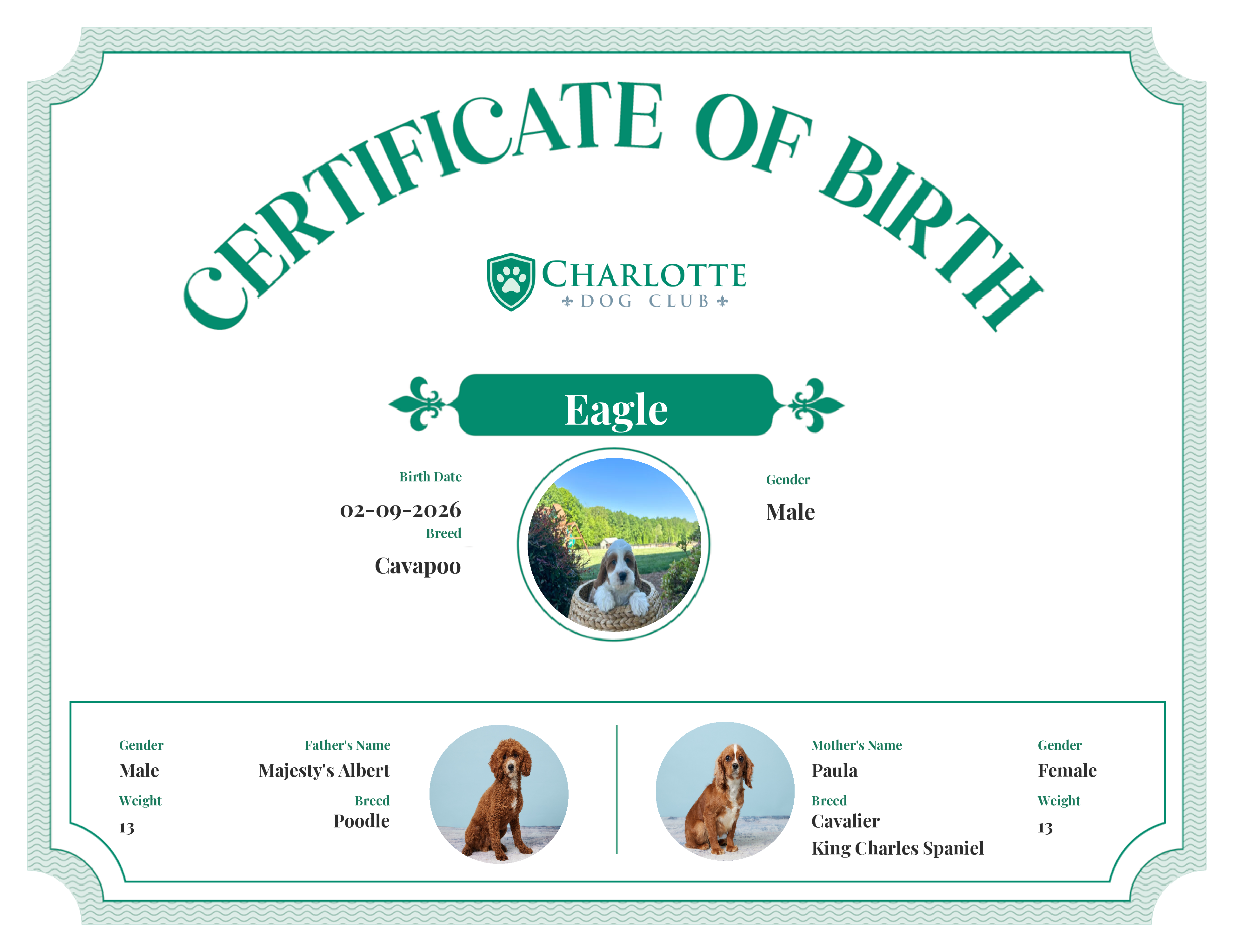 Eagle's Birth Certificate