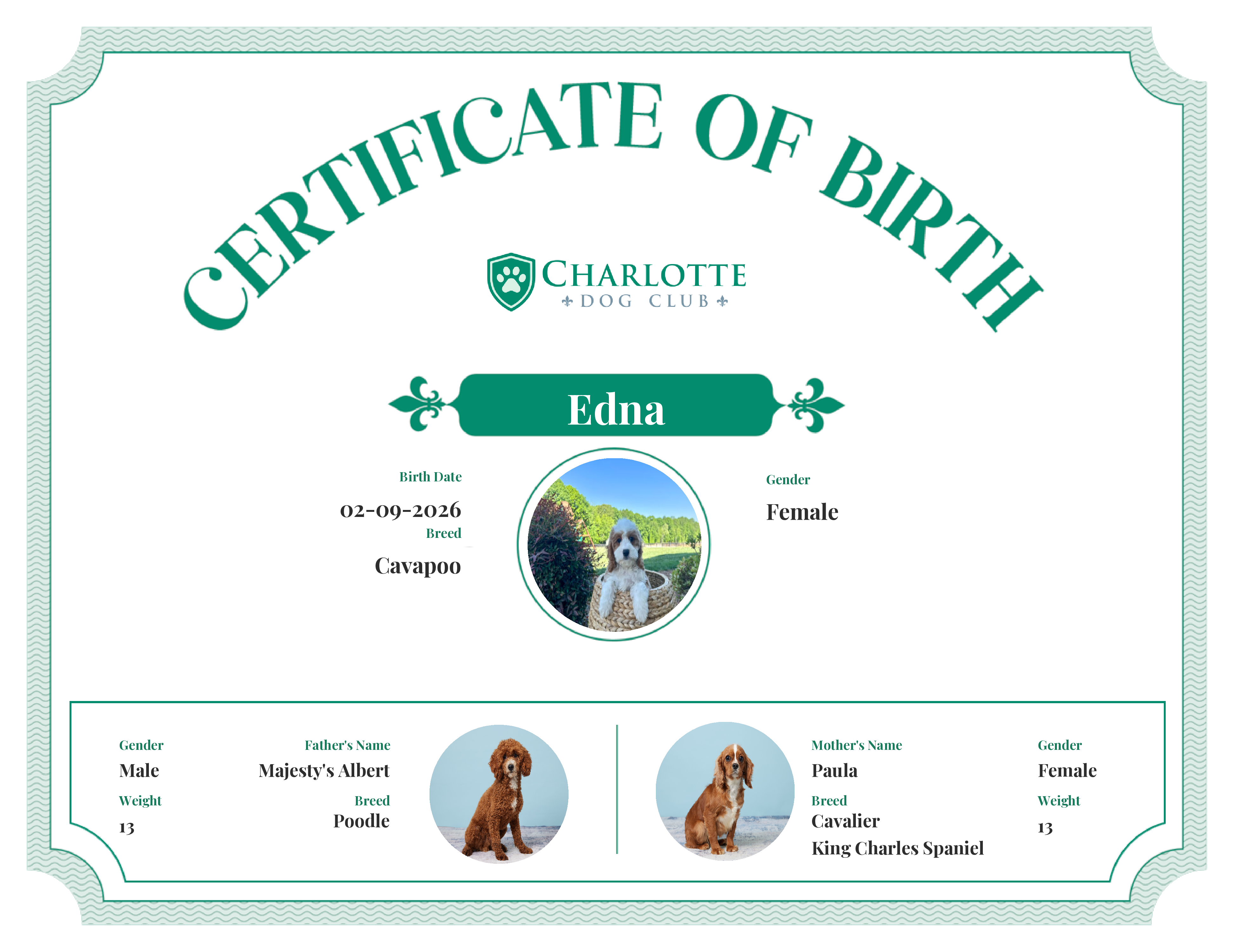 Edna's Birth Certificate