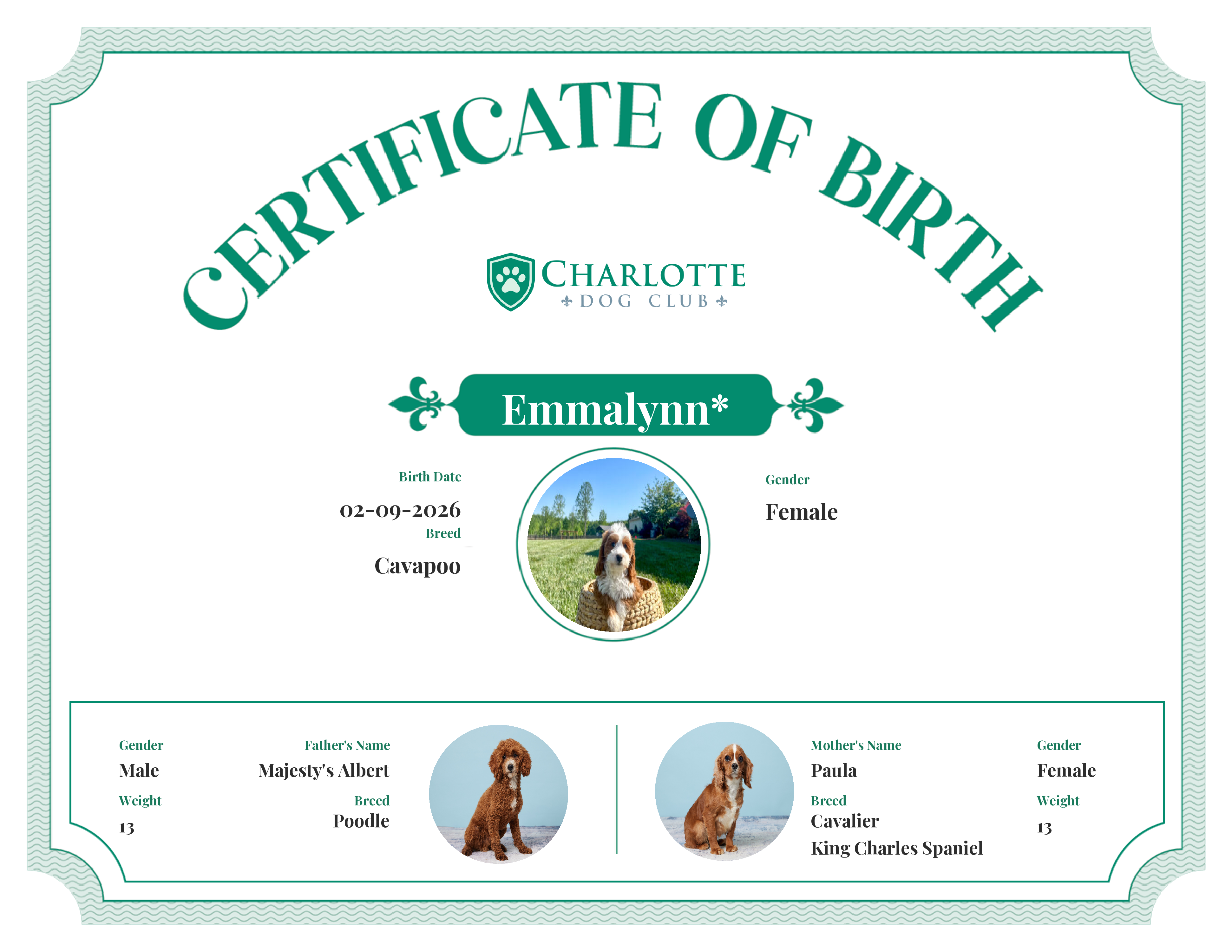 Emmalynn's Birth Certificate