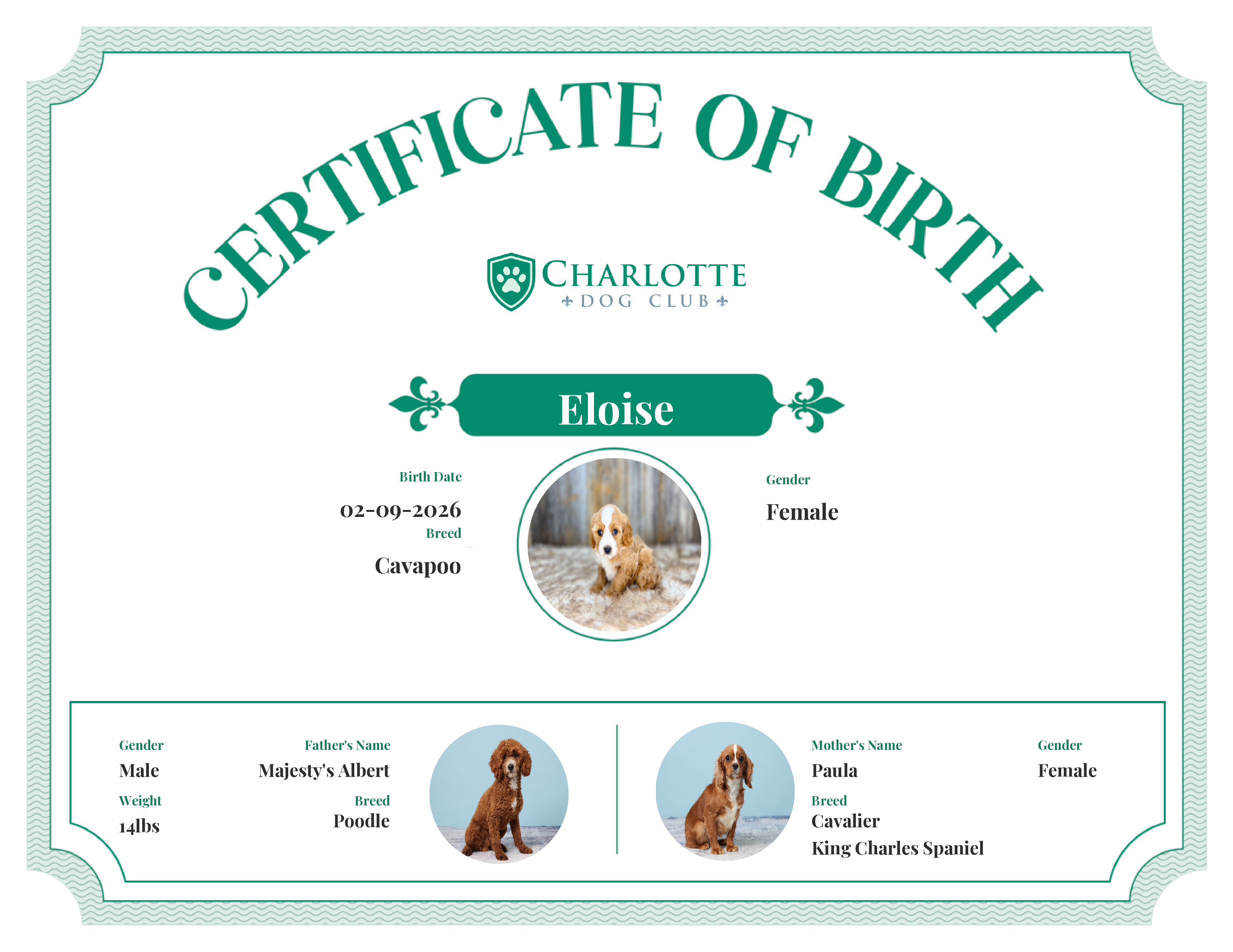 Eloise's Birth Certificate