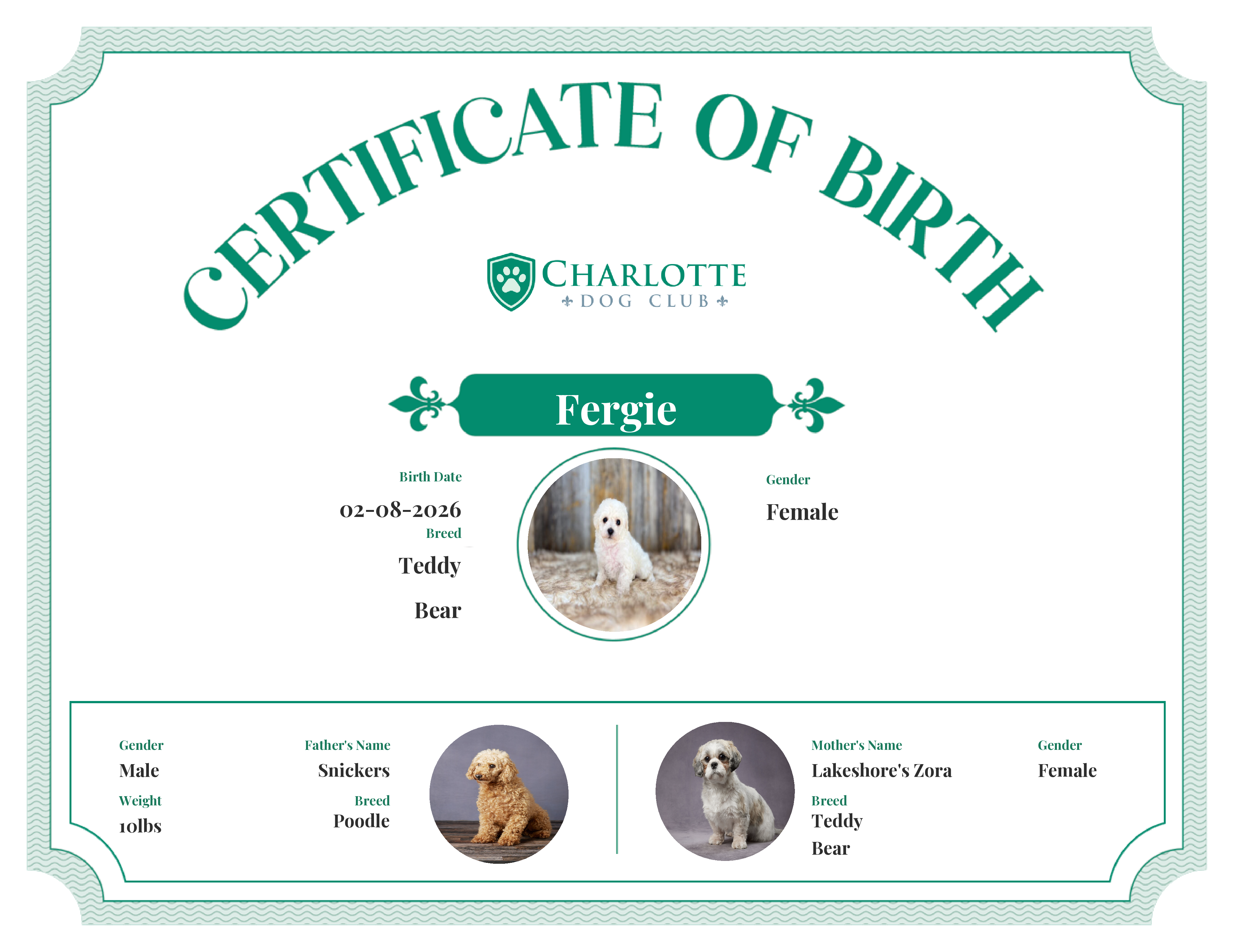 Fergie's Birth Certificate