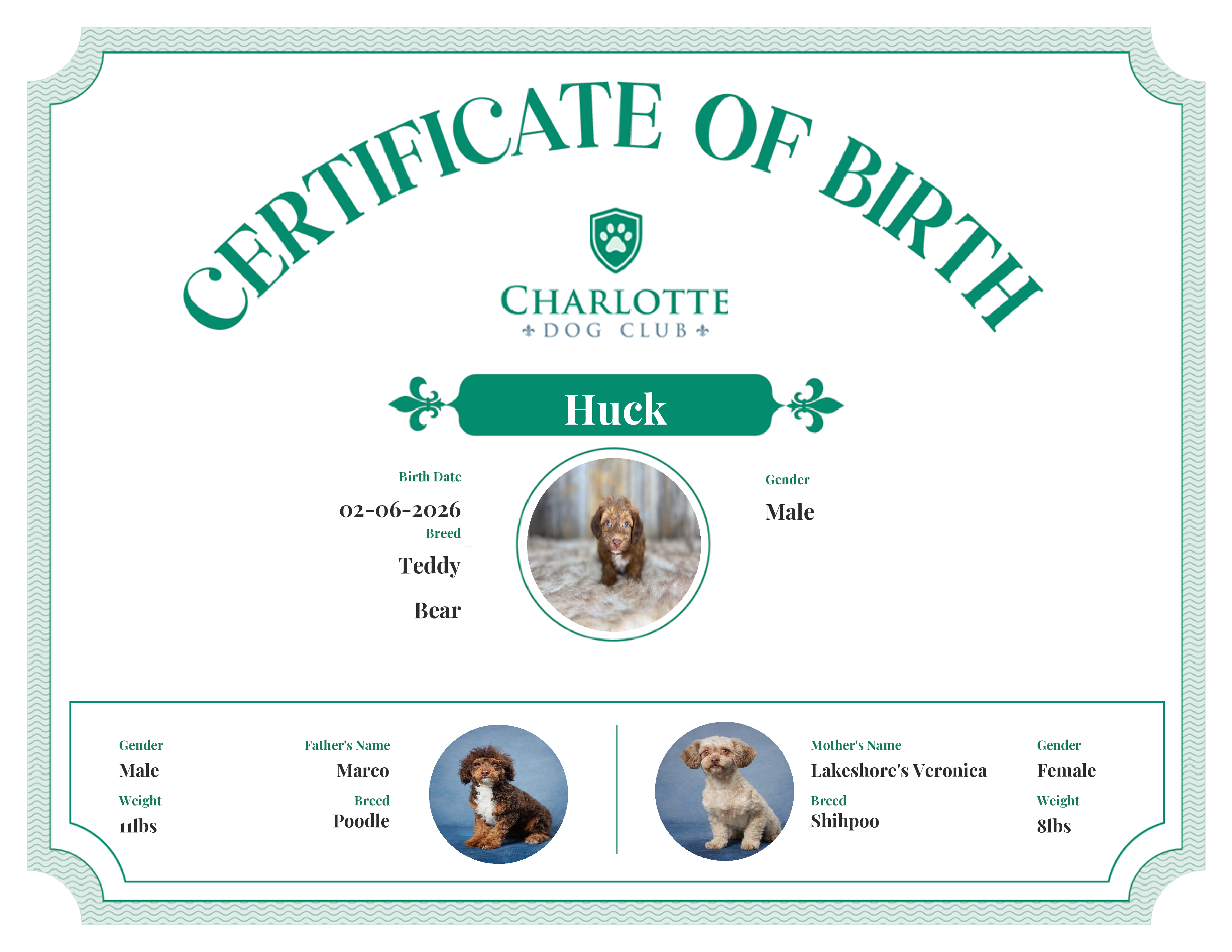 Huck's Birth Certificate