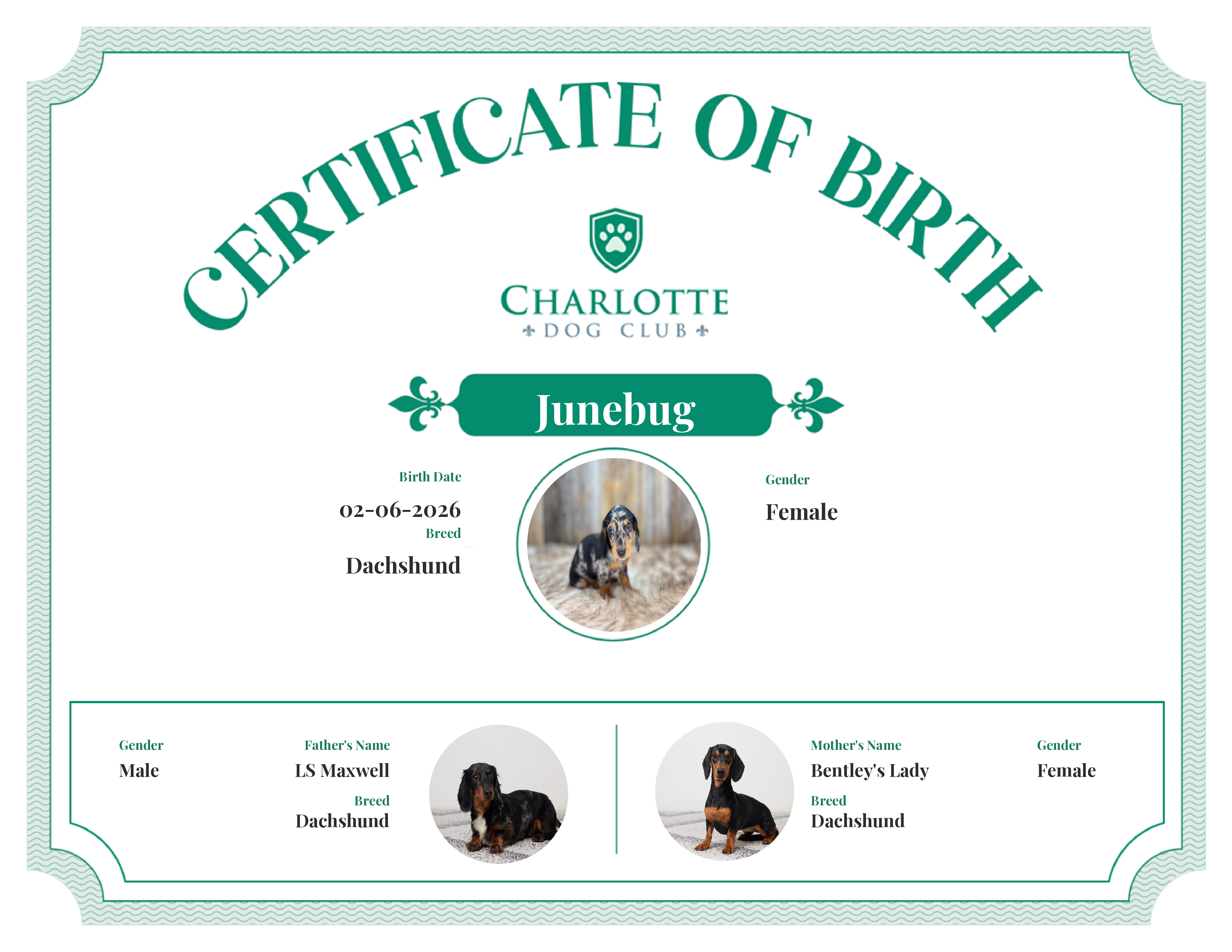 Junebug's Birth Certificate
