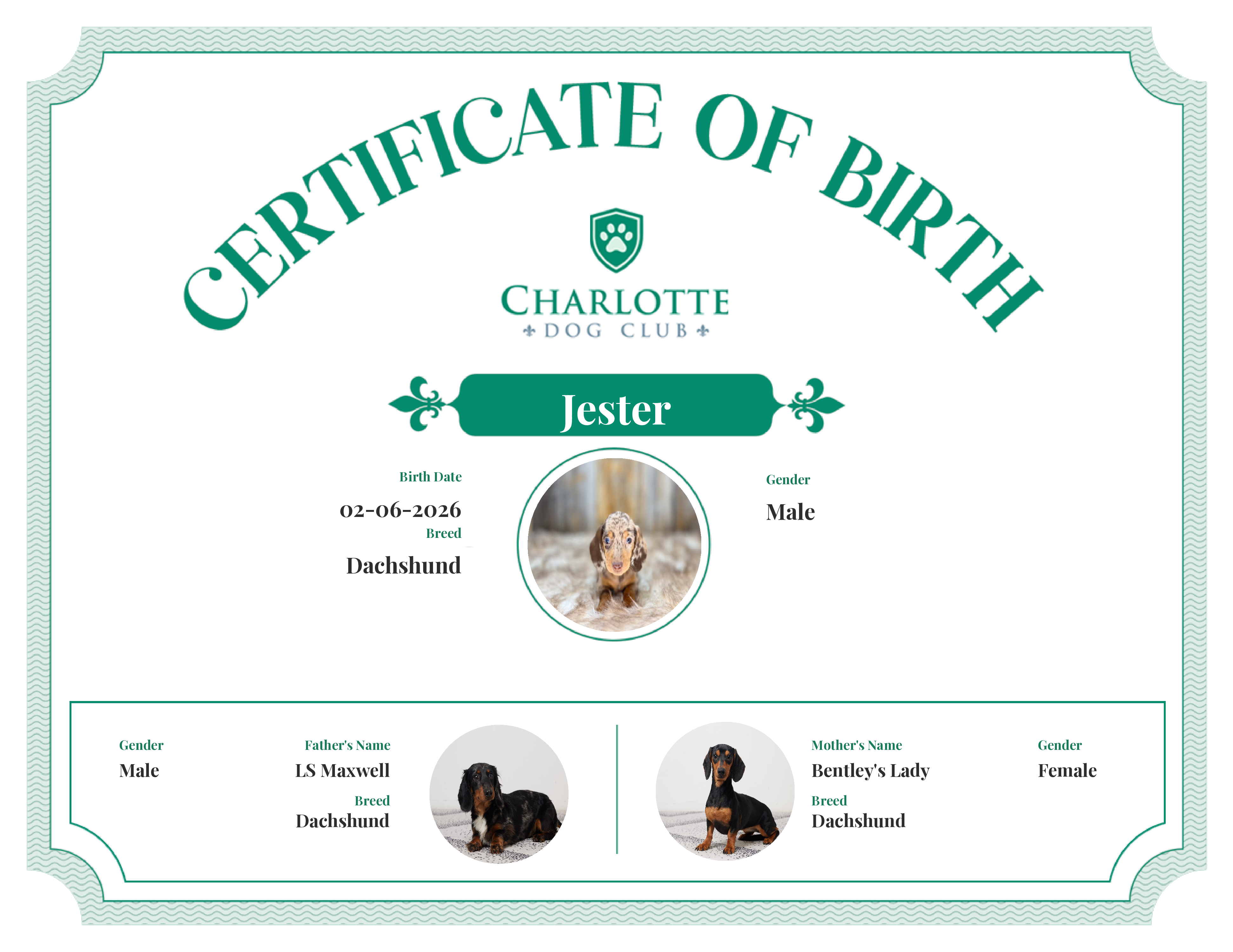Jester's Birth Certificate